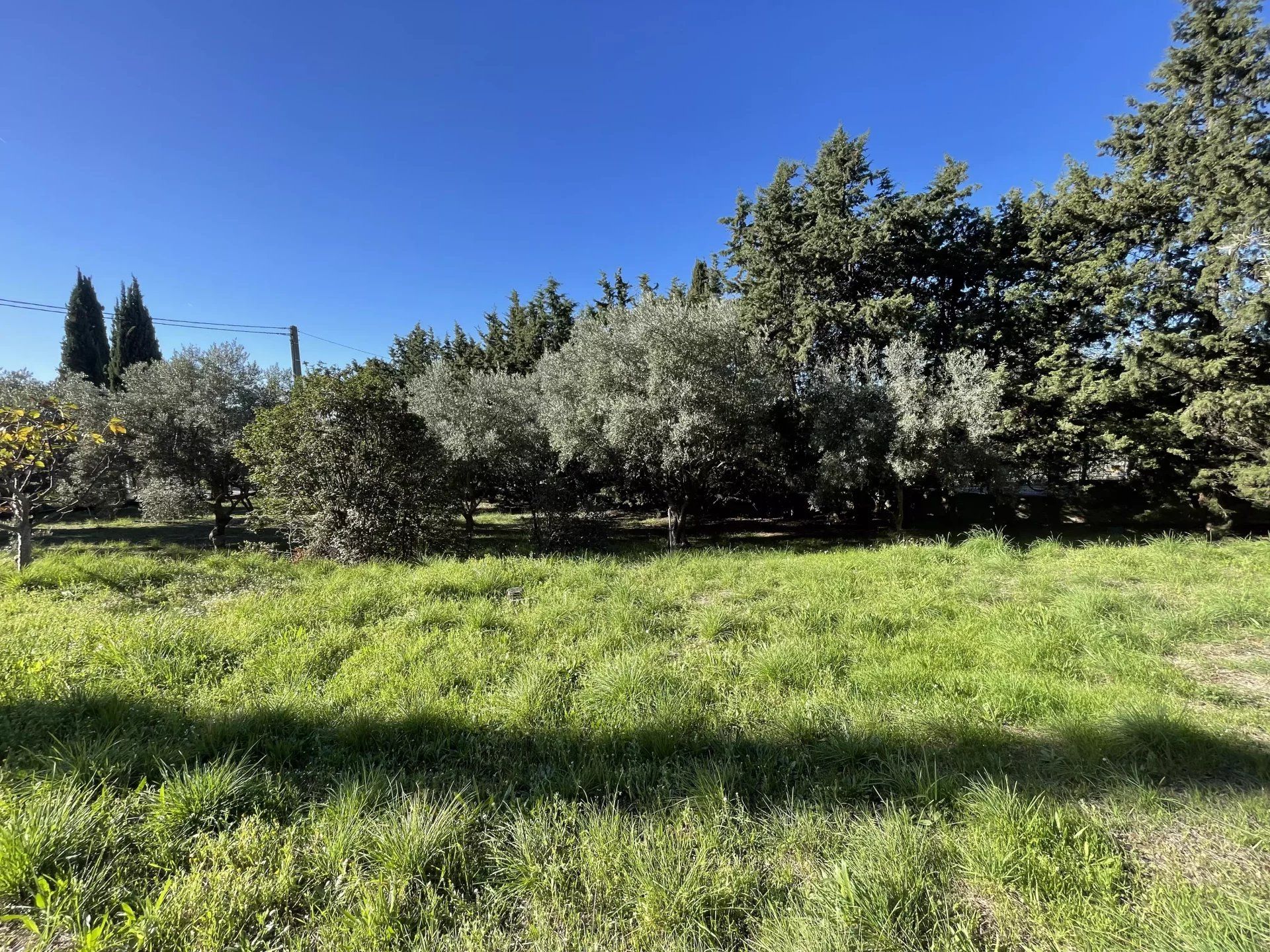 Tierra en Ceyreste, Bouches-du-Rhône 12855261