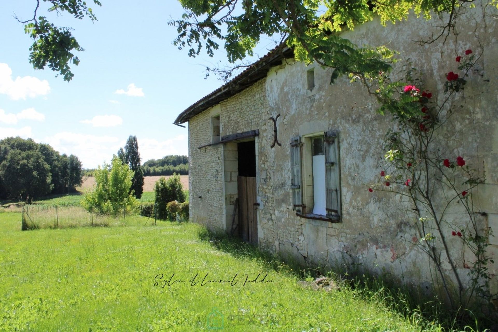 Lain di Montendre, Nouvelle-Aquitaine 12856114