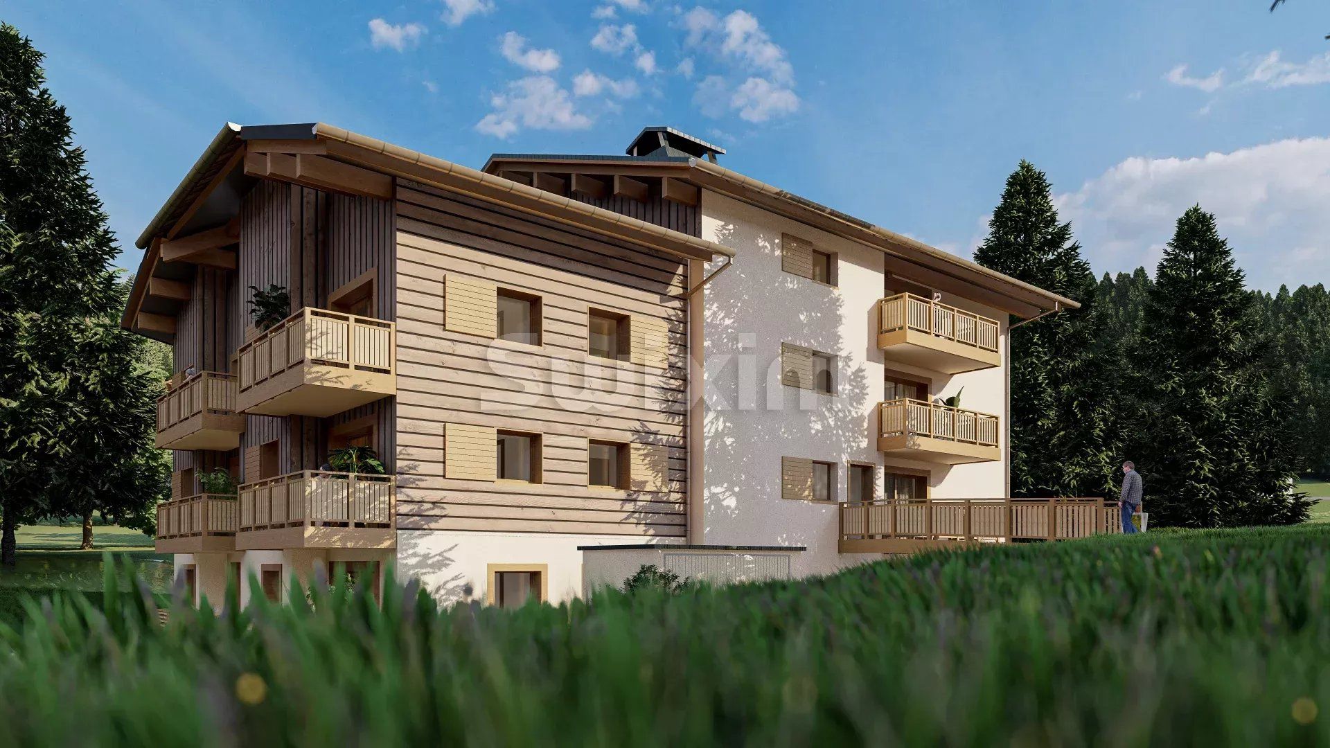 Συγκυριαρχία σε Praz-sur-Arly, Haute-Savoie 12856769