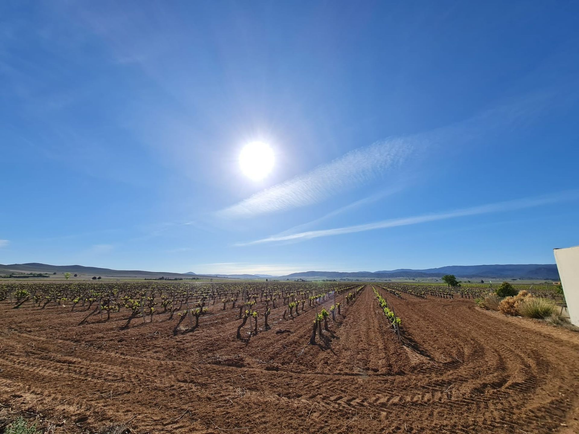 loger dans Yecla, Región de Murcia 12859035