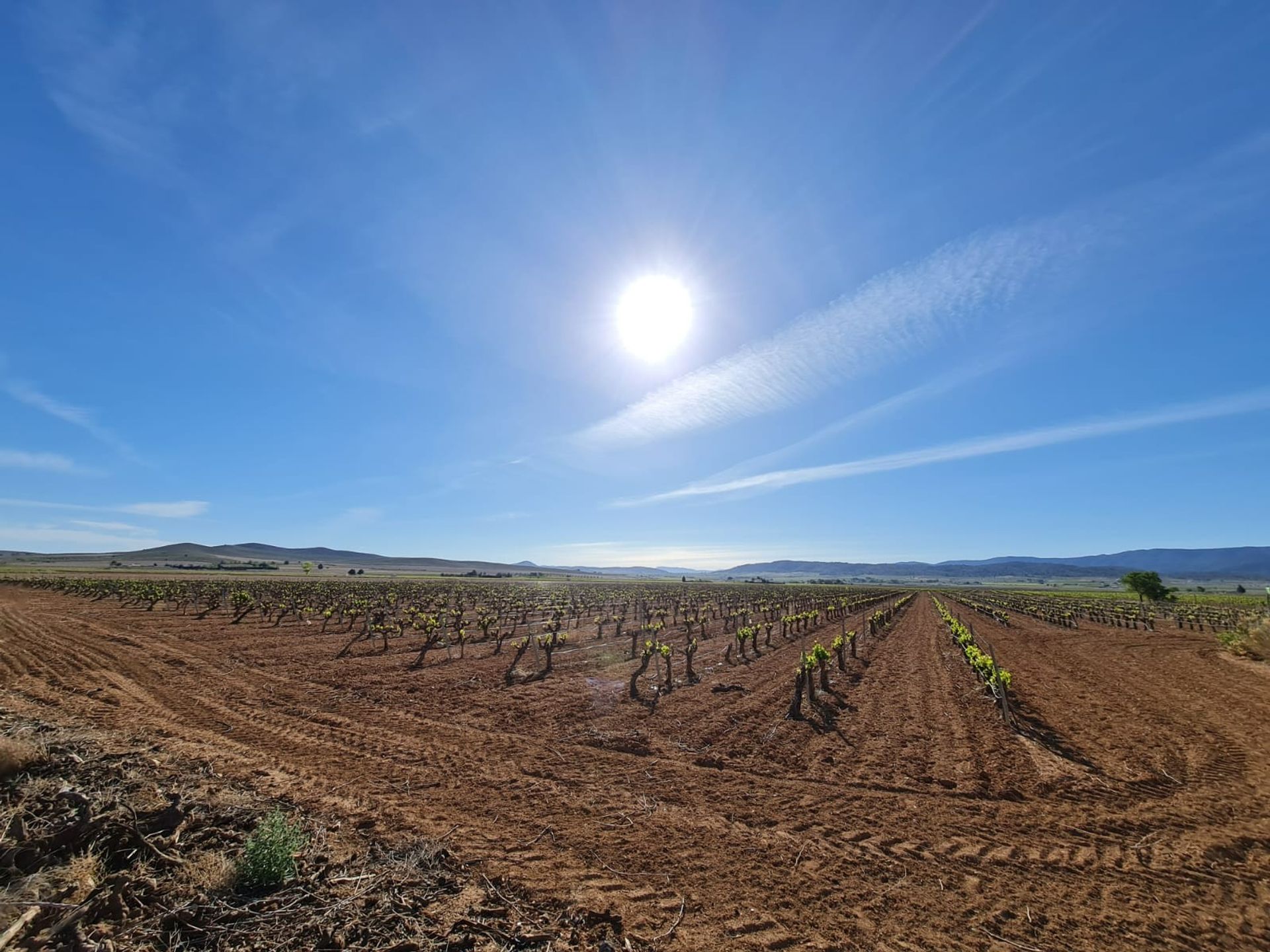 loger dans Yecla, Región de Murcia 12859035