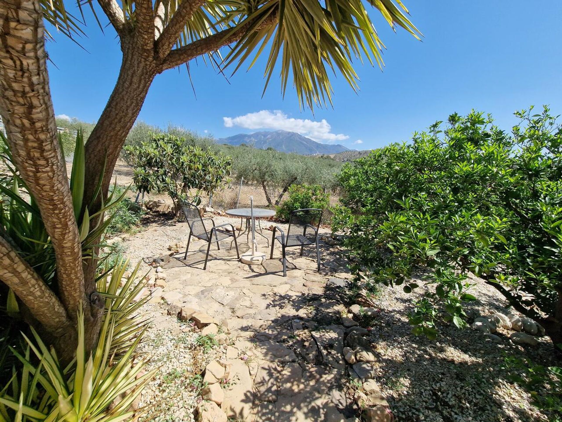 loger dans Periana, Andalucía 12859071