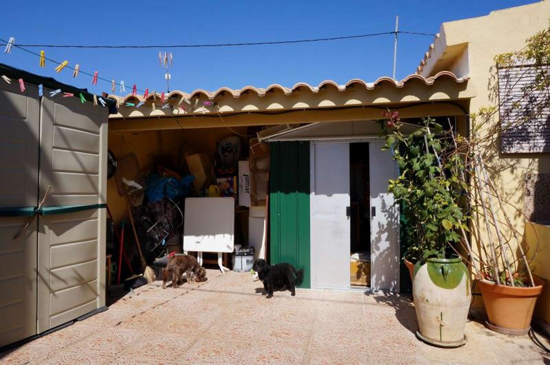 casa en El Xinorlet, Comunidad Valenciana 12859423