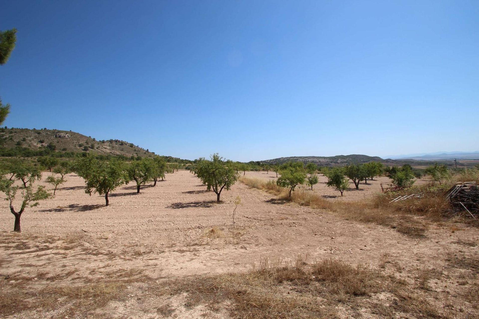 loger dans Yecla, Región de Murcia 12859427