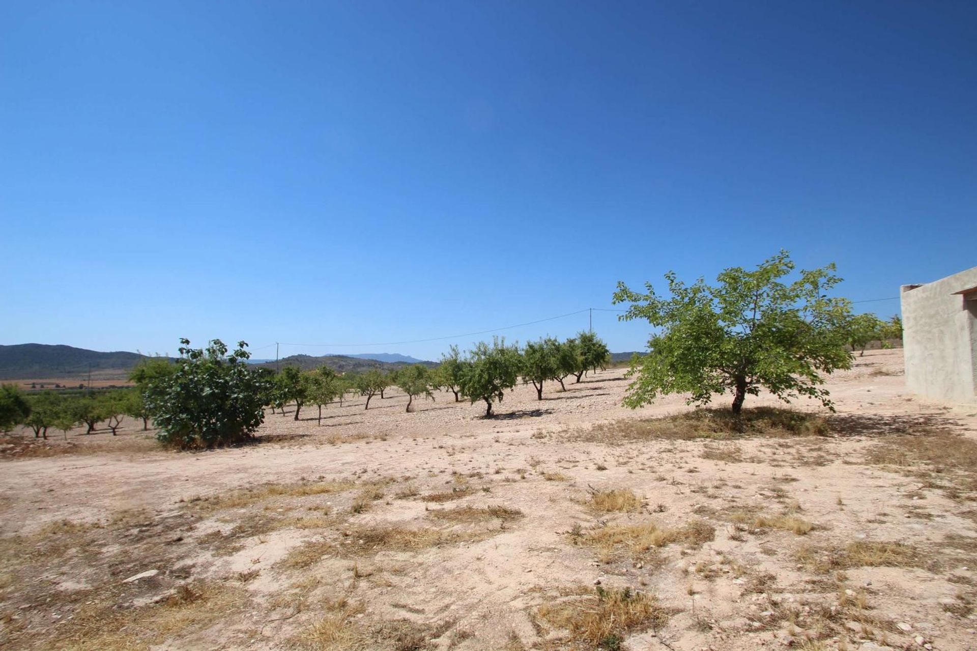 loger dans Yecla, Región de Murcia 12859427