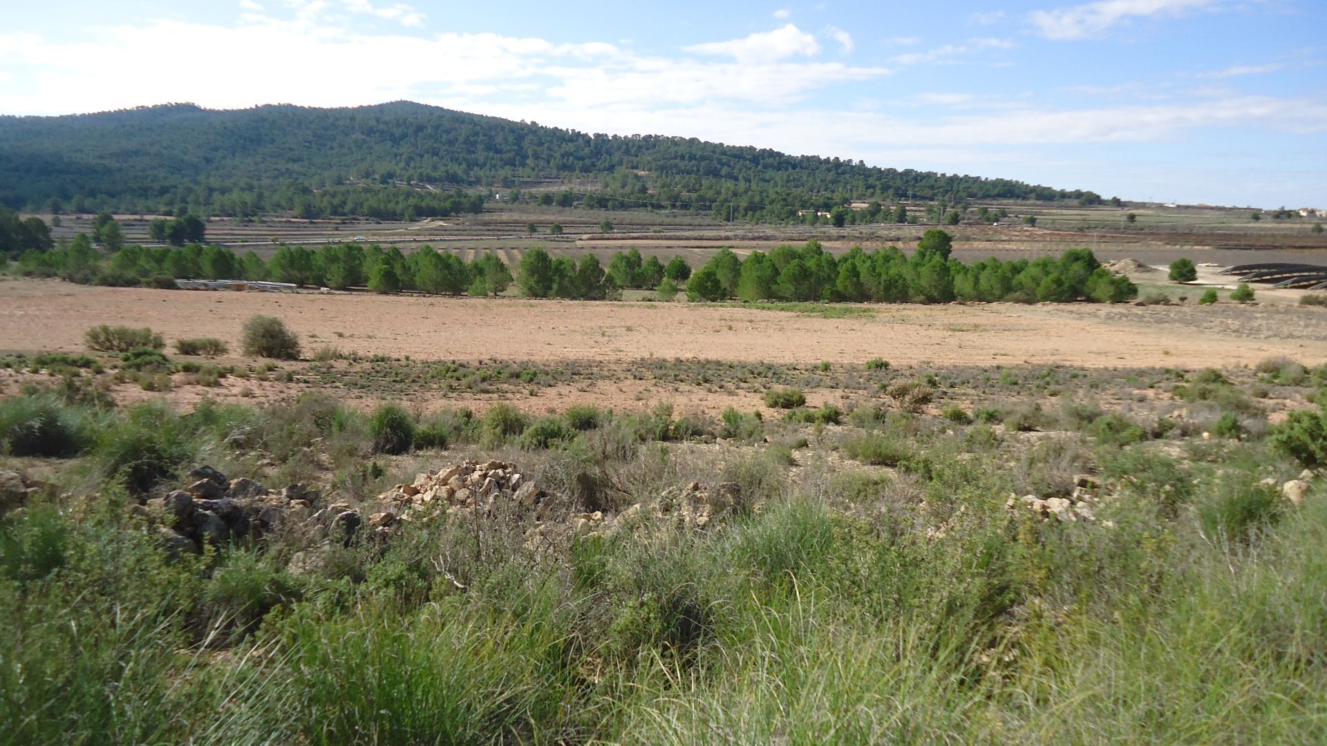 Huis in Monòver, Comunidad Valenciana 12859560