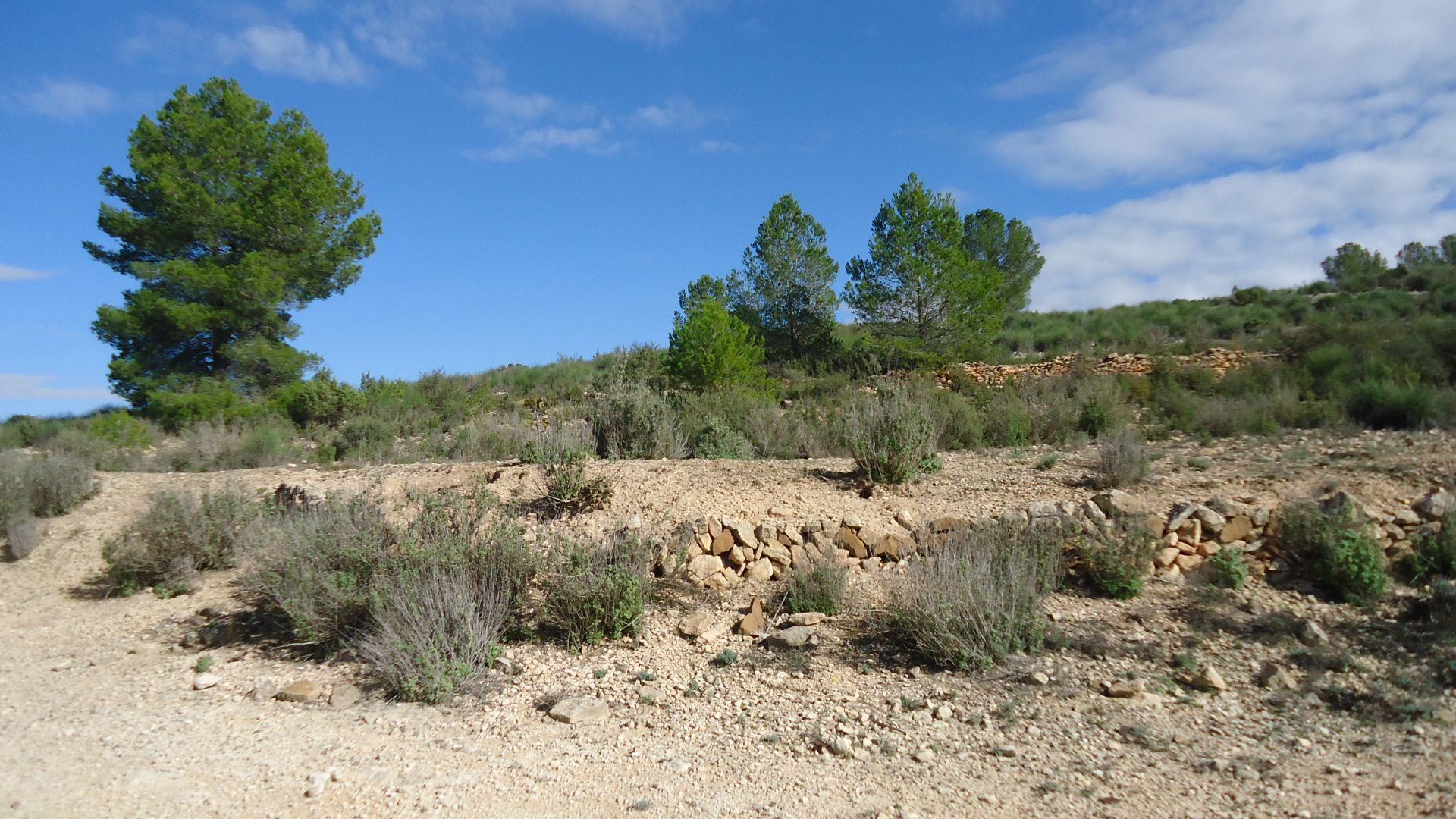 Huis in Monòver, Comunidad Valenciana 12859560