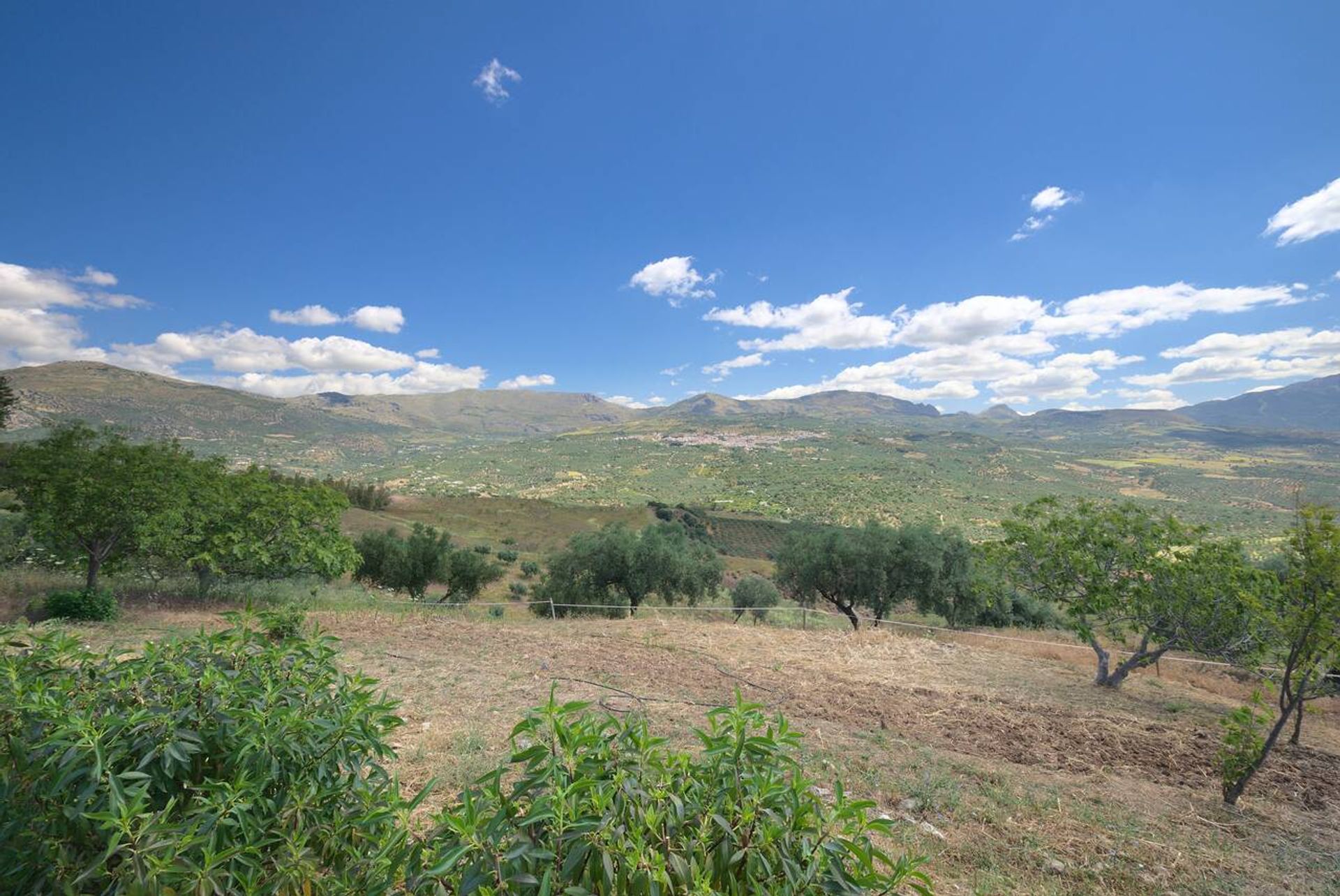 Haus im Periana, Andalucía 12859761