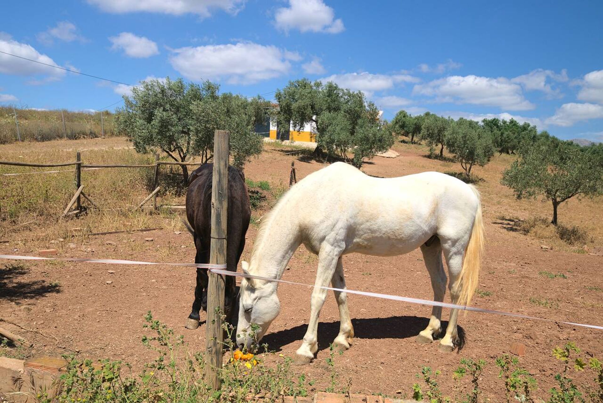 Haus im Periana, Andalucía 12859761