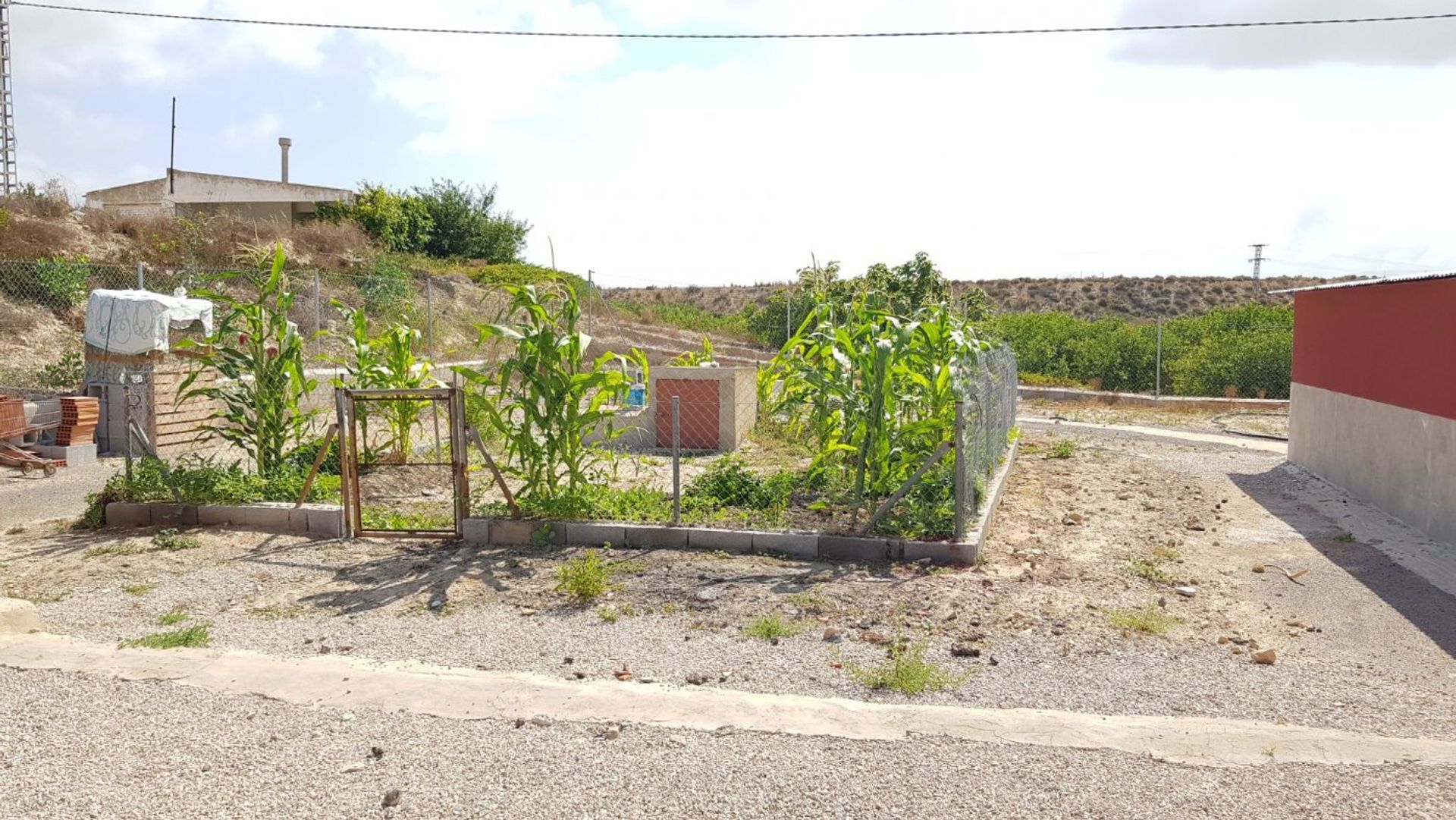 House in Almoradí, Comunidad Valenciana 12859822