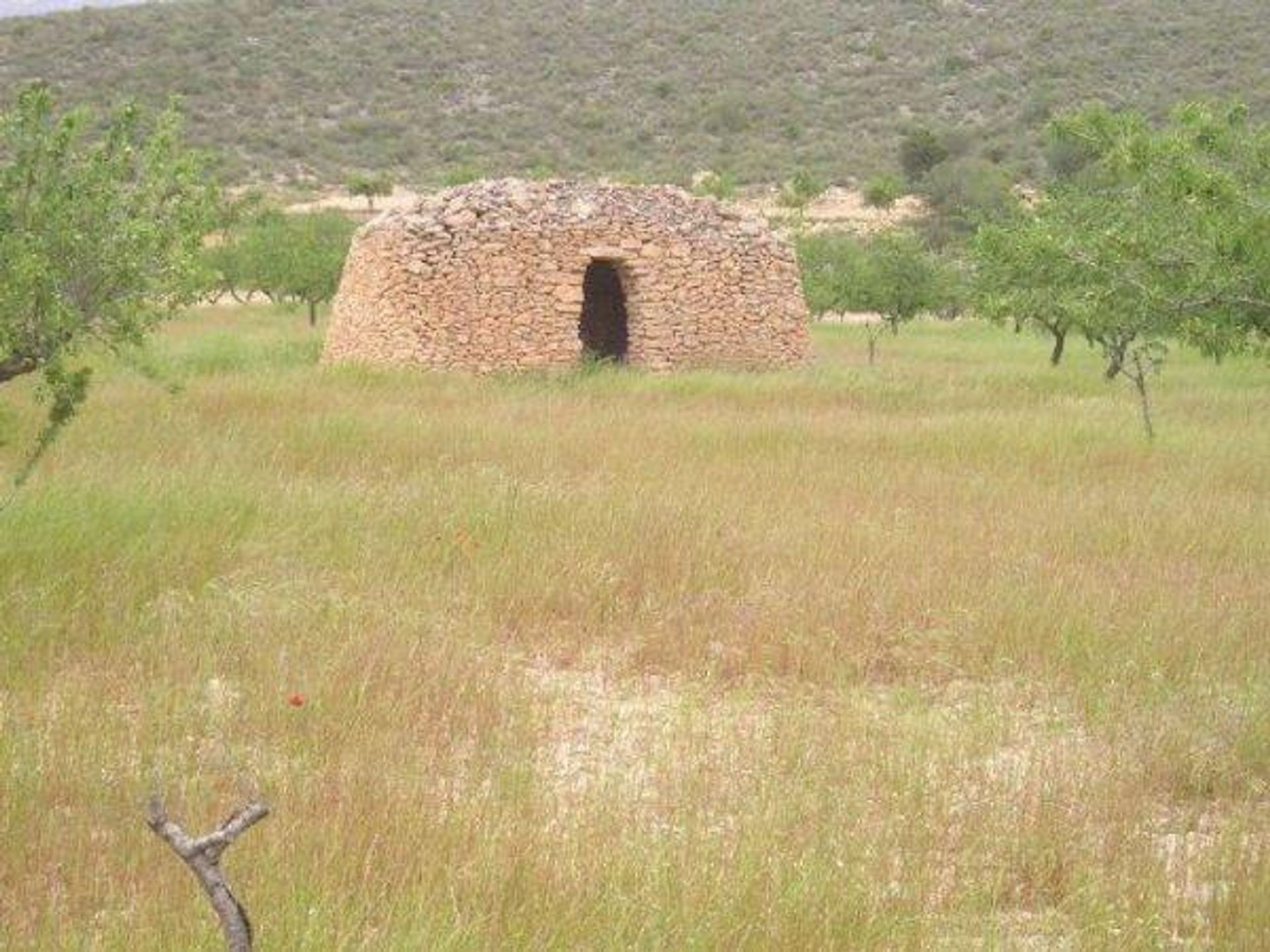 σπίτι σε Jumilla, Región de Murcia 12859990