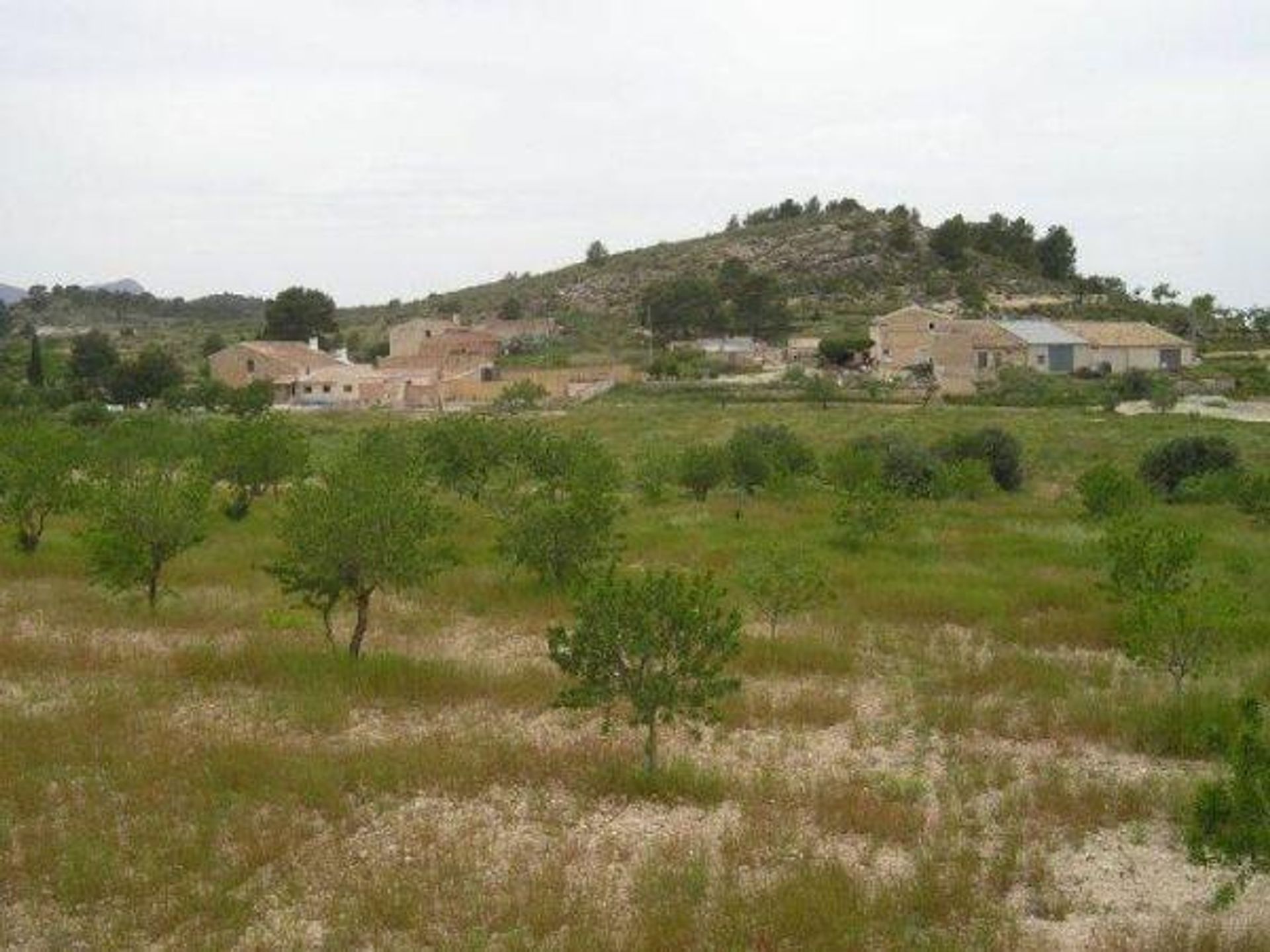 σπίτι σε Jumilla, Región de Murcia 12859990