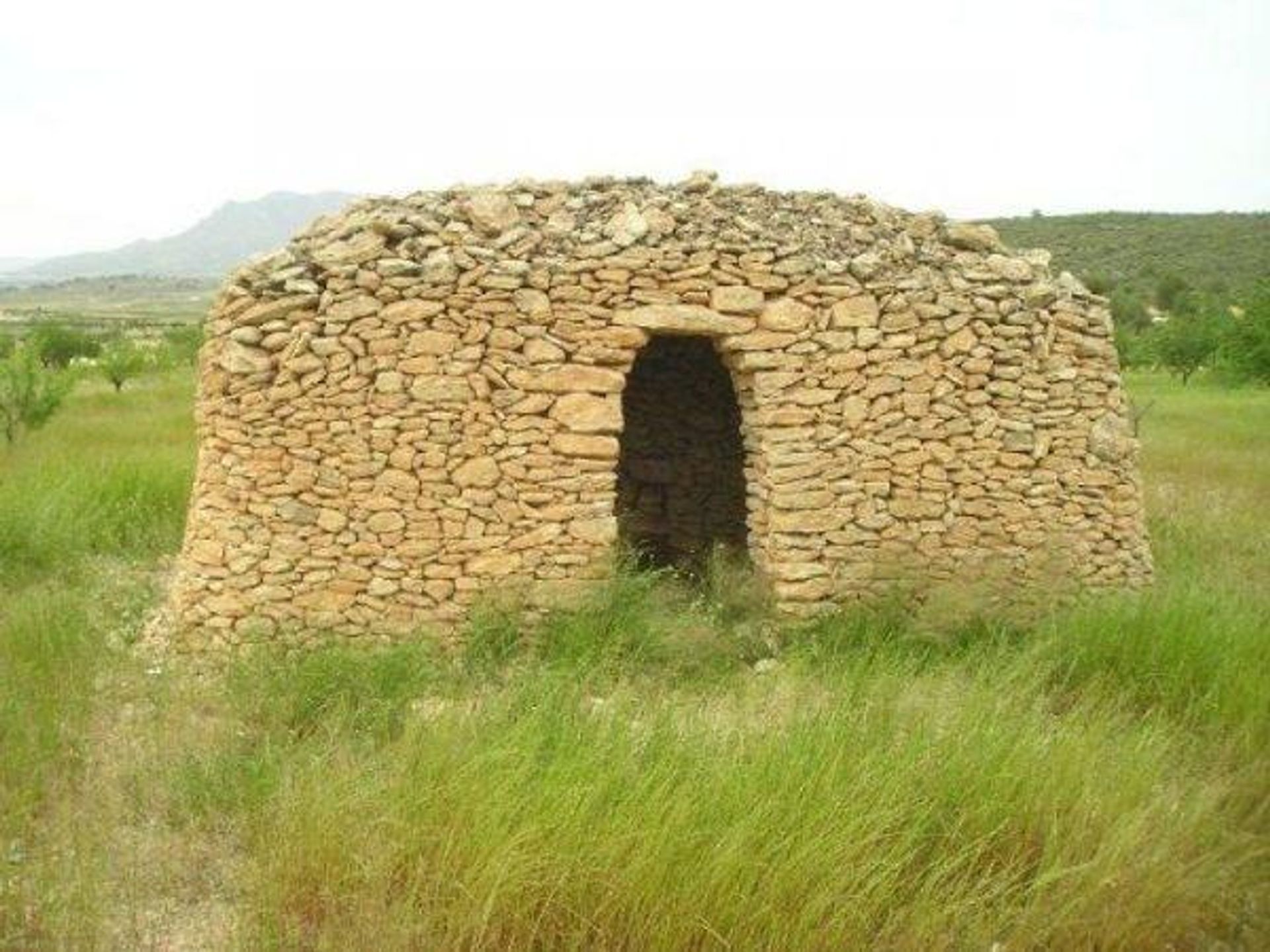 σπίτι σε Jumilla, Región de Murcia 12859990