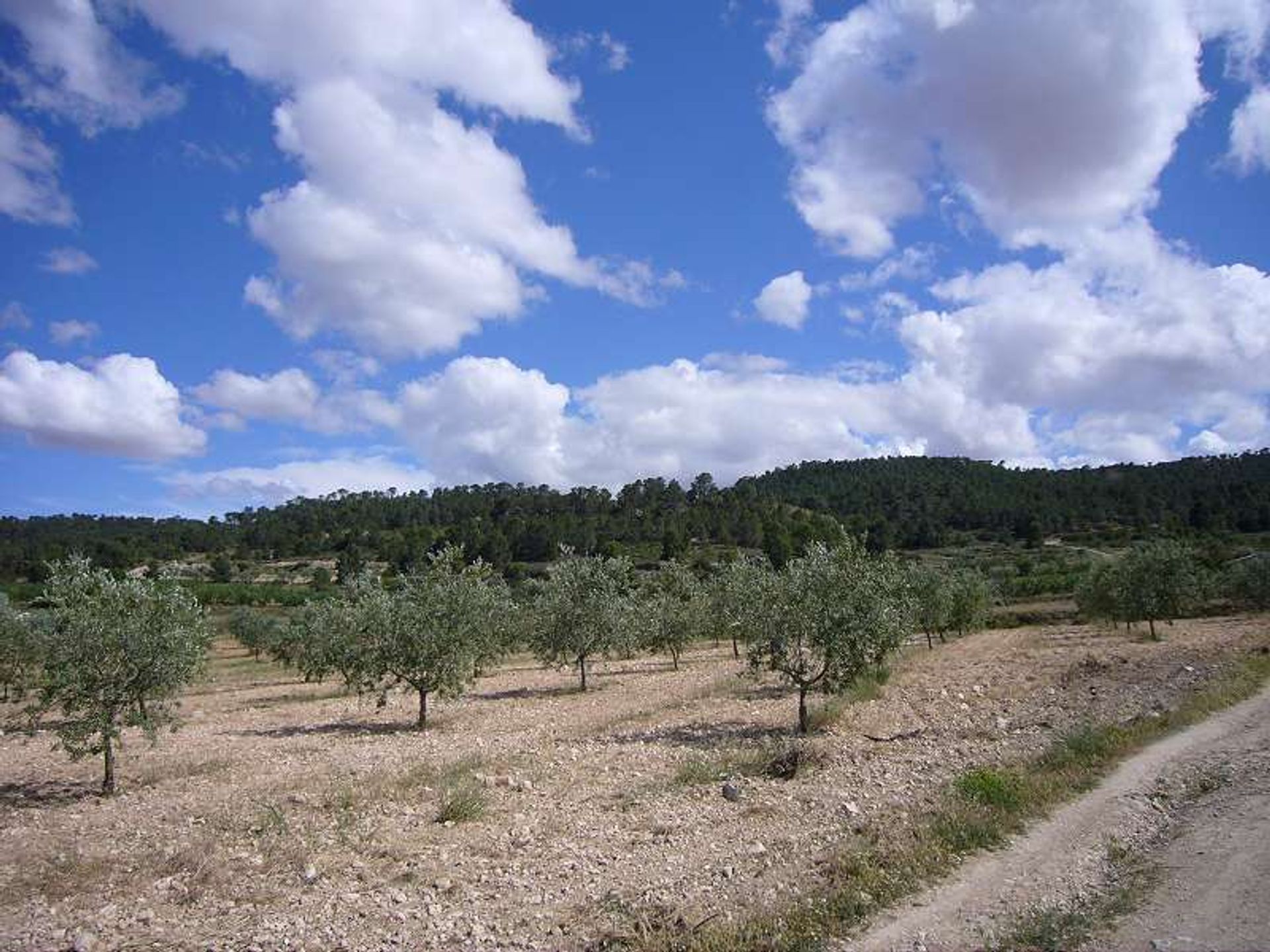 casa no Salinas, Comunidad Valenciana 12860598