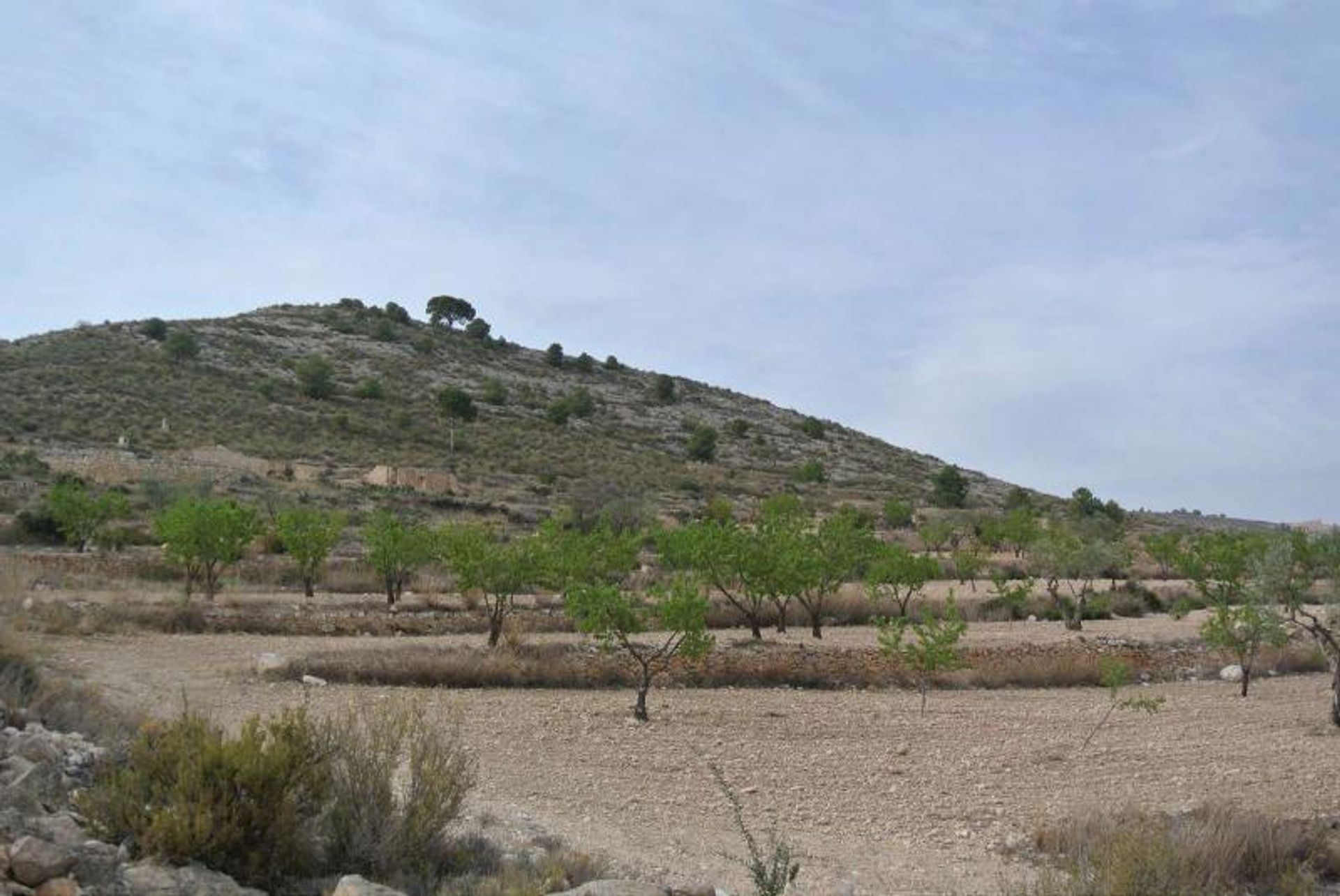 House in Cañada del Trigo, Región de Murcia 12860646