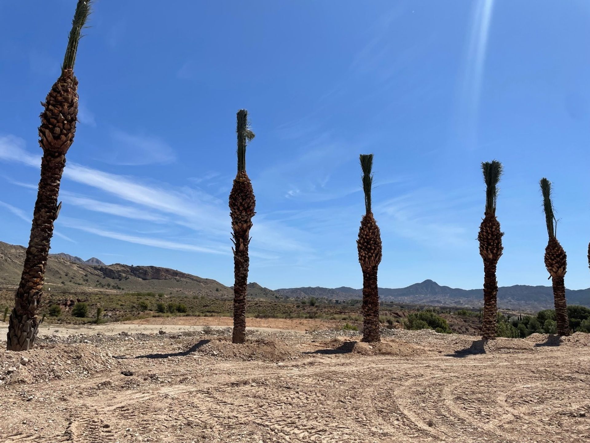 σπίτι σε Abanilla, Región de Murcia 12860760