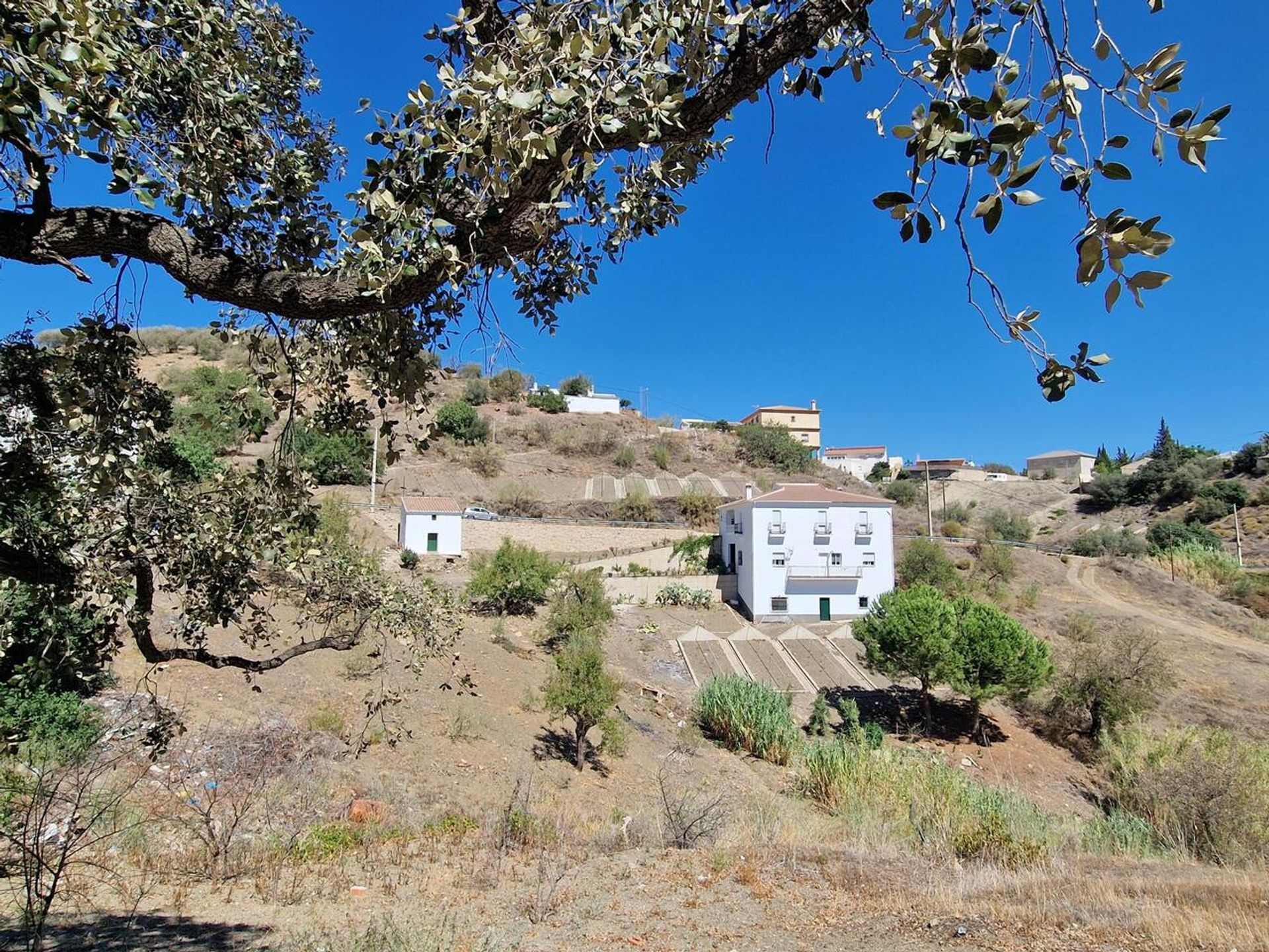 Casa nel Benamargosa, Andalusia 12860928