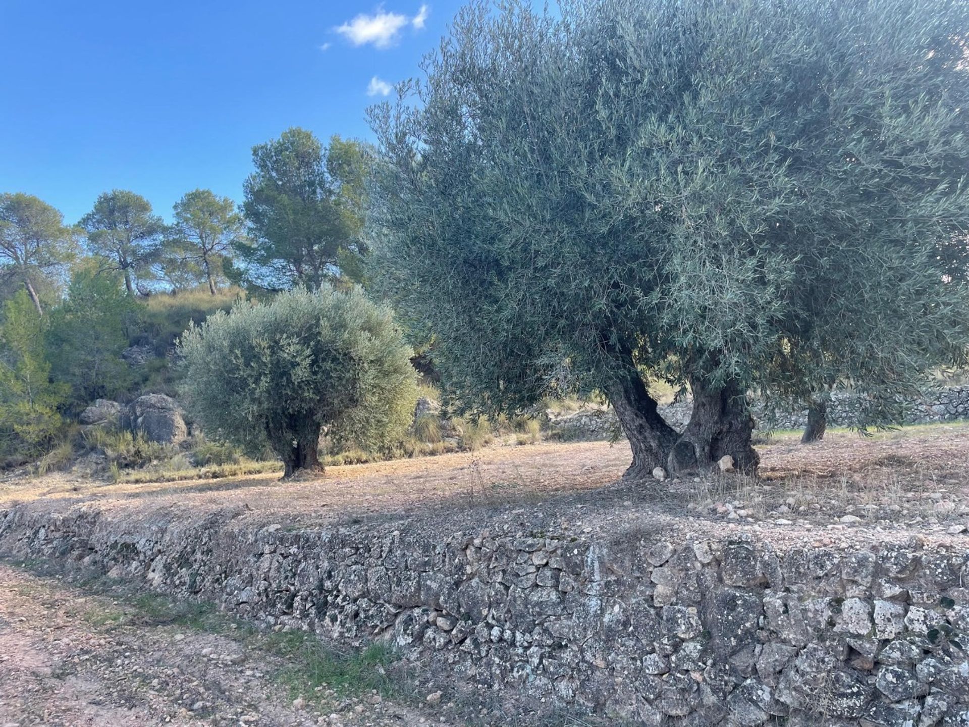 Rumah di , Región de Murcia 12861083