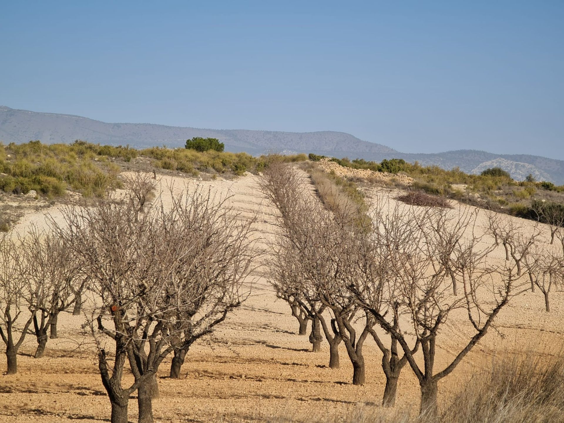 loger dans , Región de Murcia 12861189