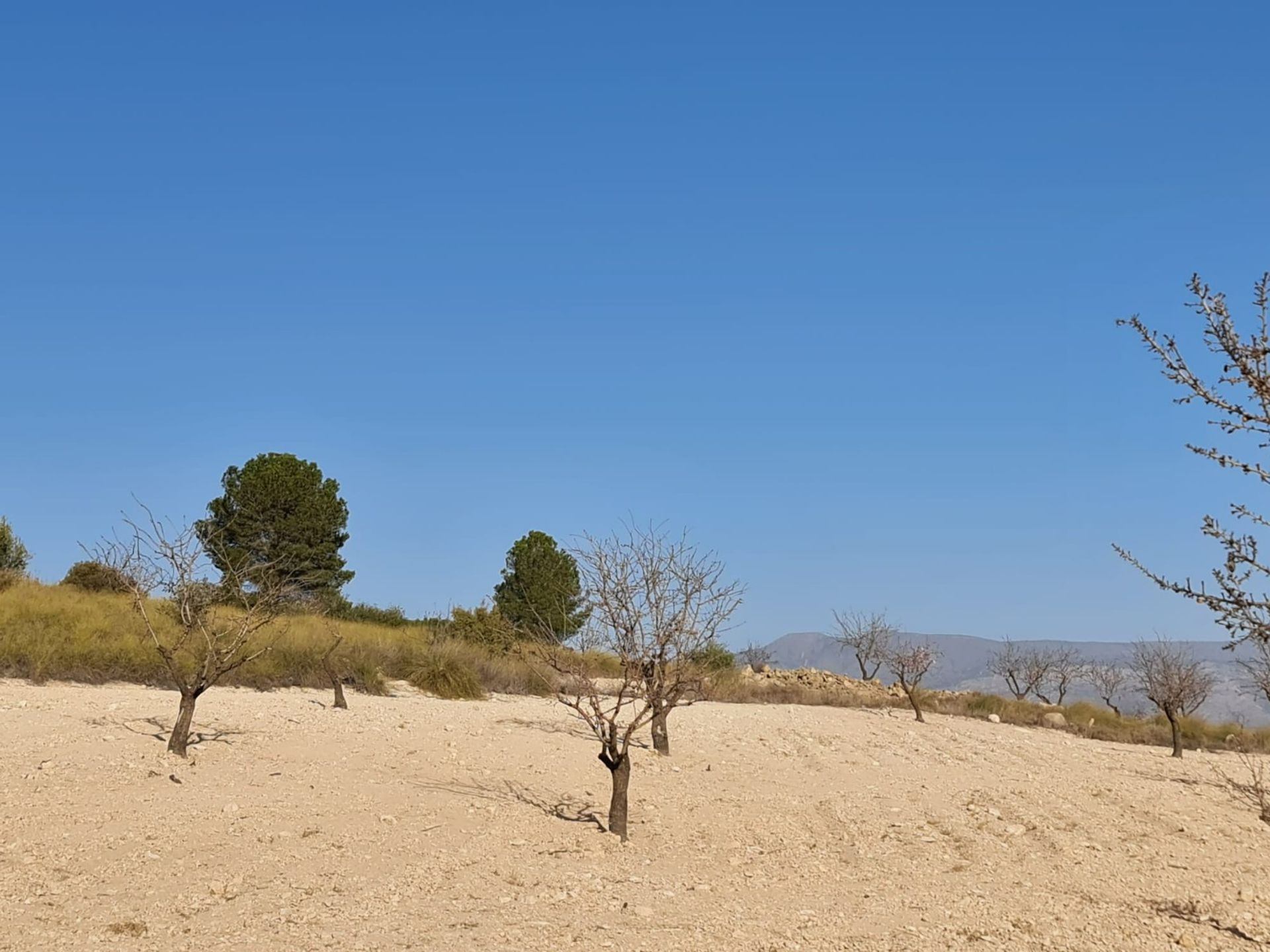 मकान में Abanilla, Región de Murcia 12861191