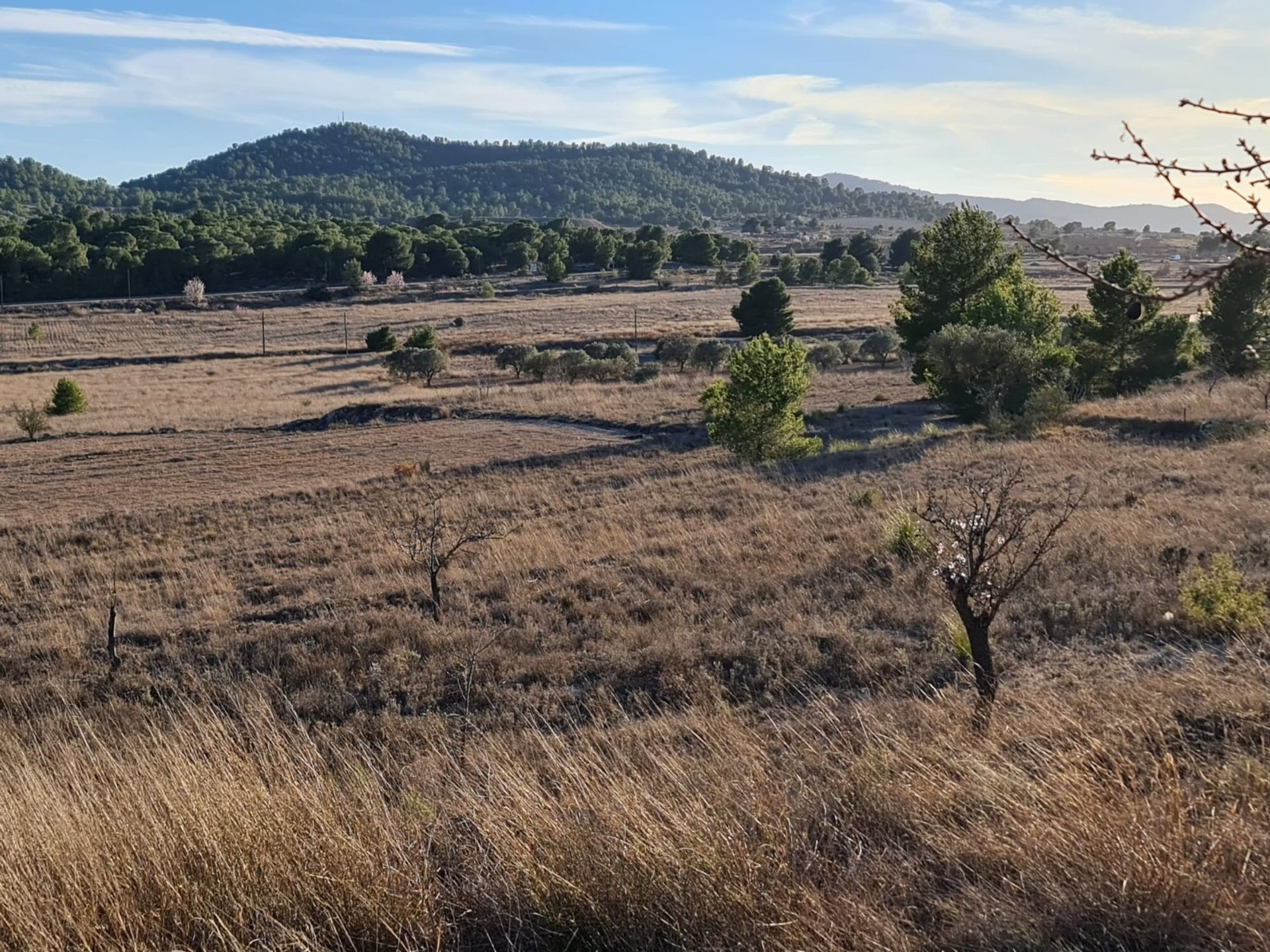 loger dans Monòver, Comunidad Valenciana 12861208