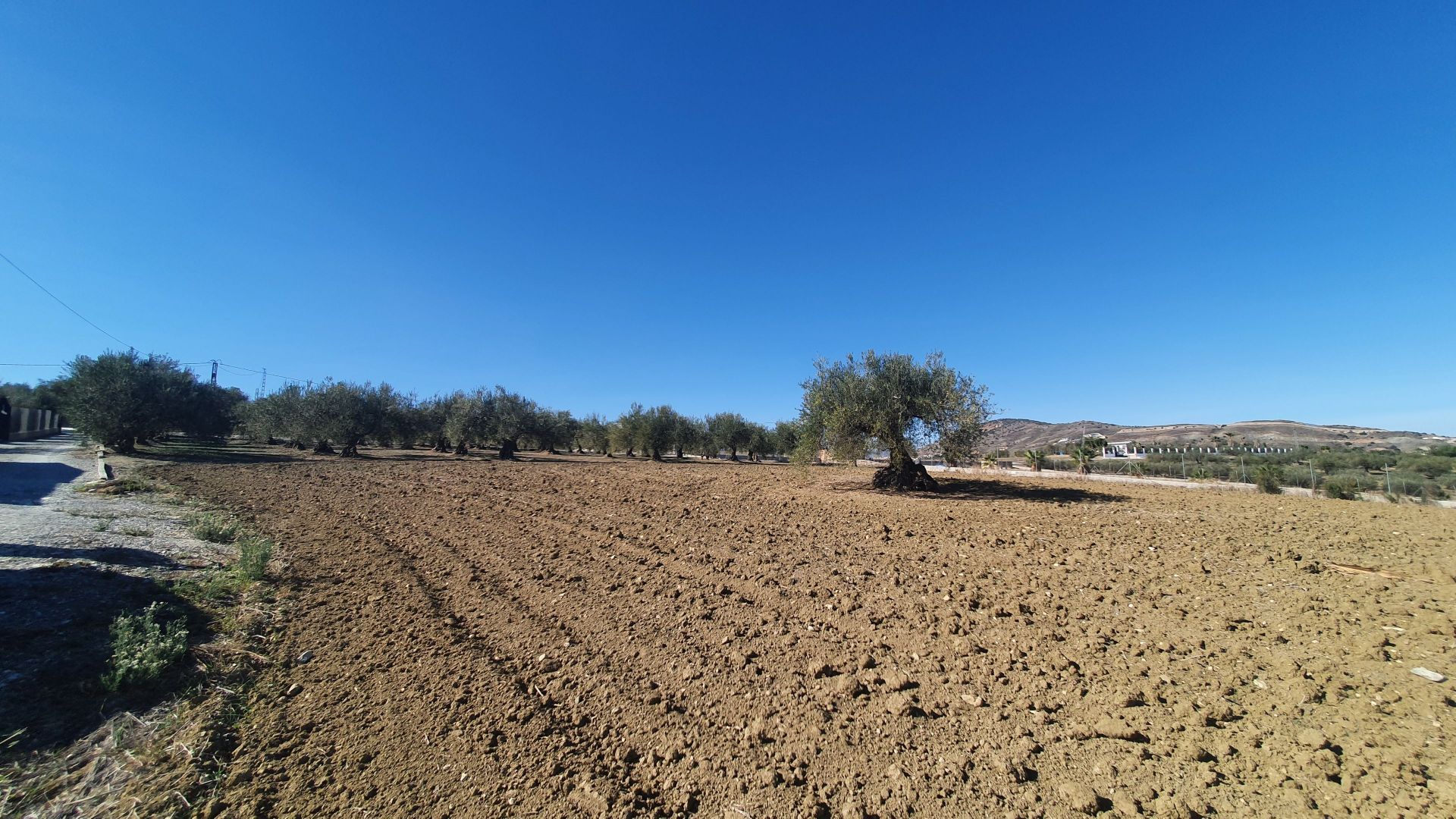 بيت في Alhaurín el Grande, Andalucía 12861595