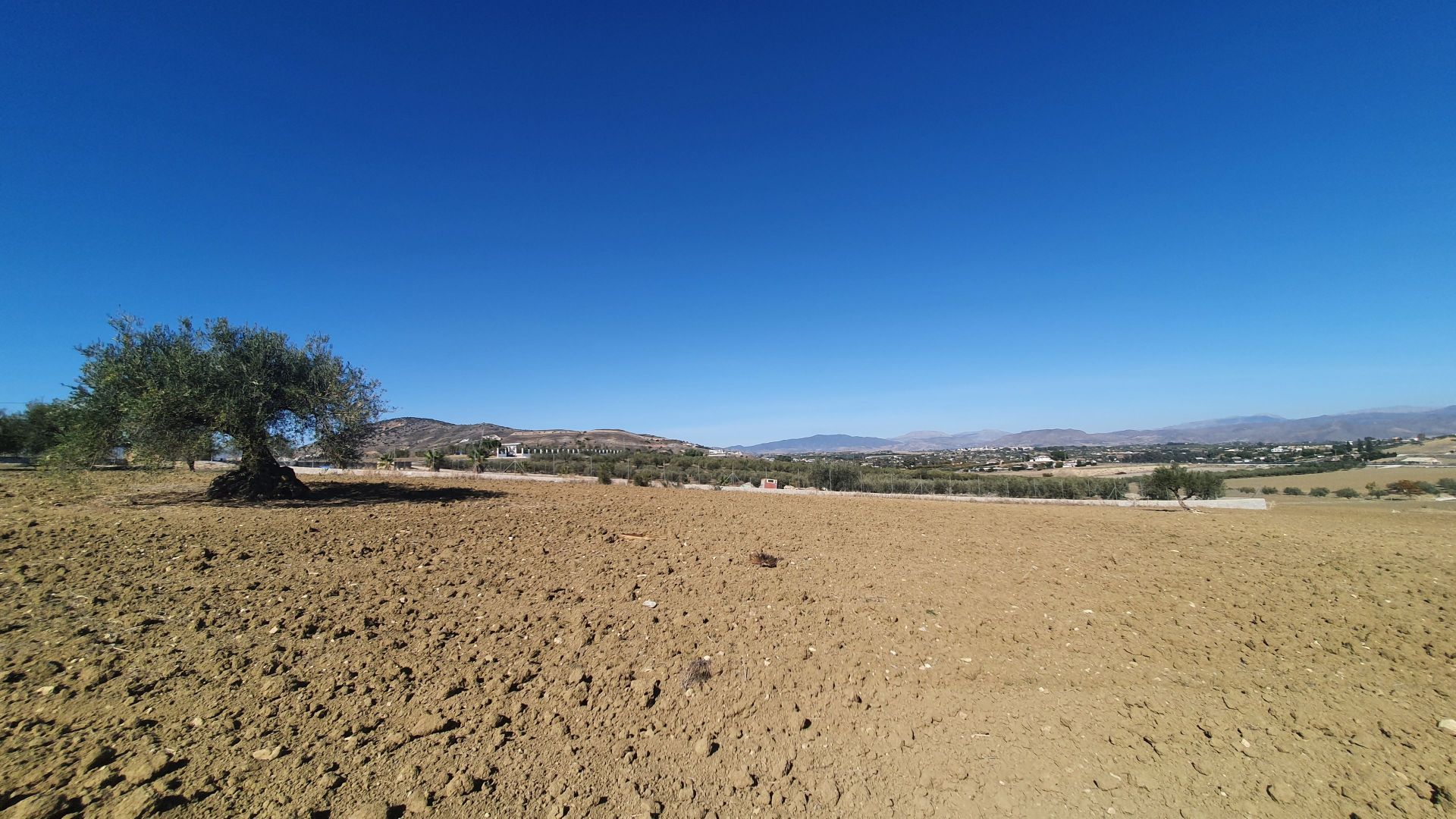 بيت في Alhaurín el Grande, Andalucía 12861595