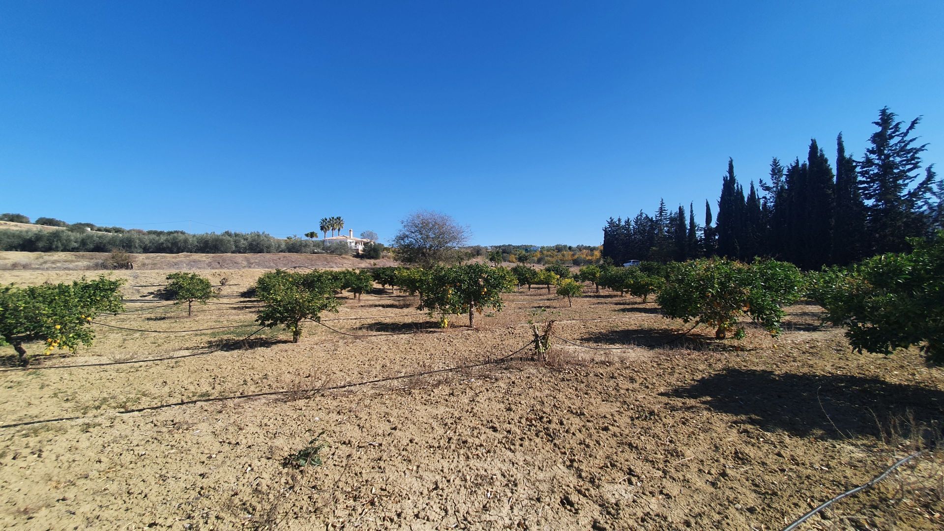 بيت في Alhaurín el Grande, Andalucía 12861596