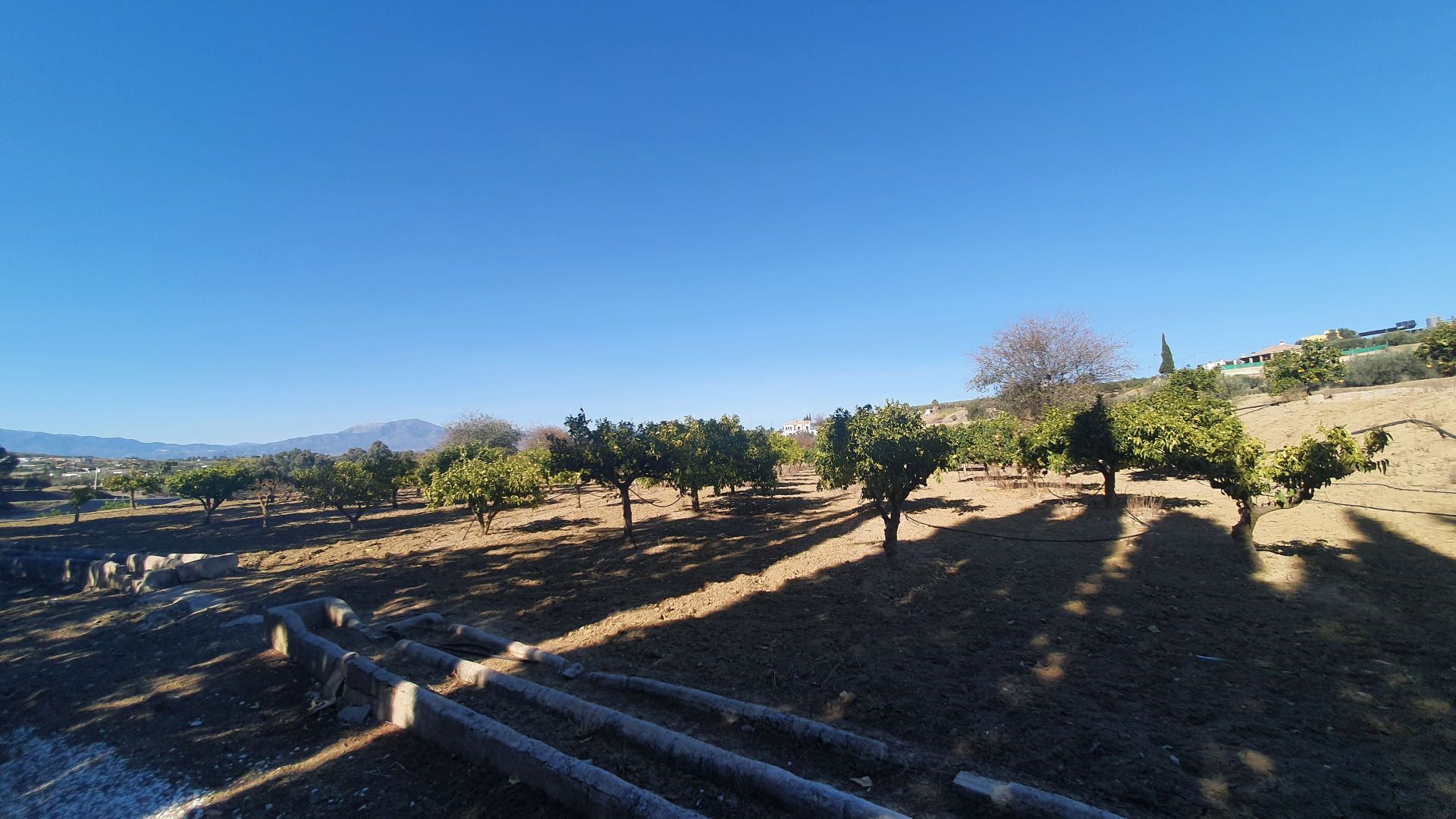 بيت في Alhaurín el Grande, Andalucía 12861596