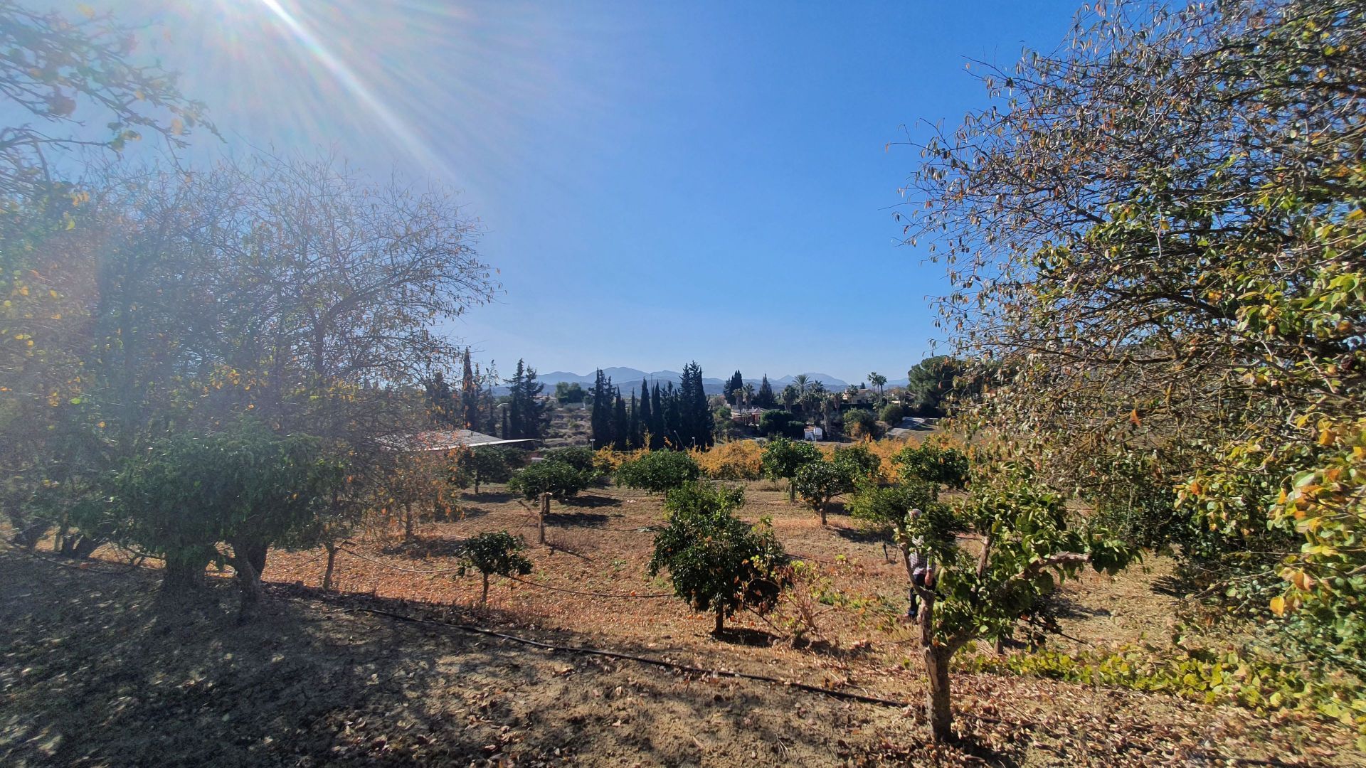 بيت في Alhaurín el Grande, Andalucía 12861596