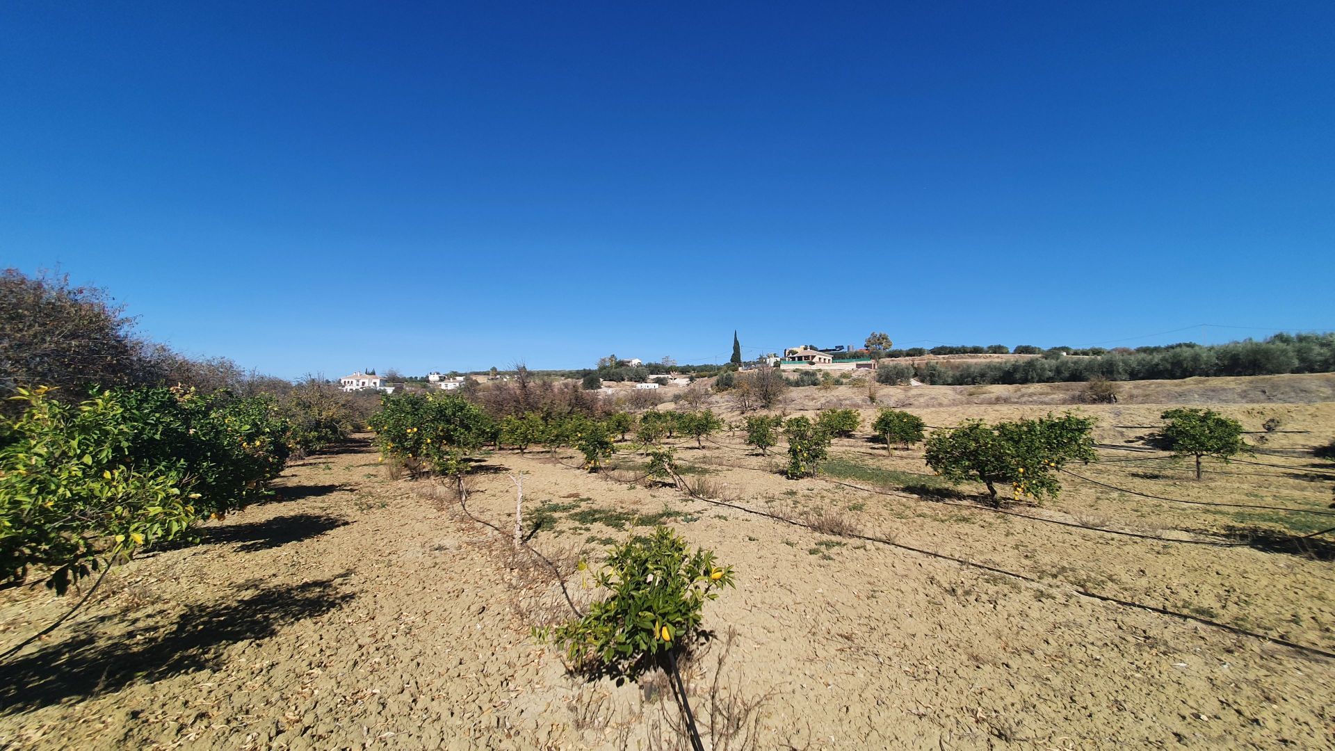 بيت في Alhaurín el Grande, Andalucía 12861596