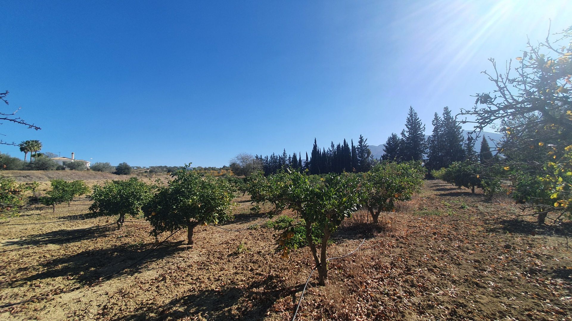 بيت في Alhaurín el Grande, Andalucía 12861596