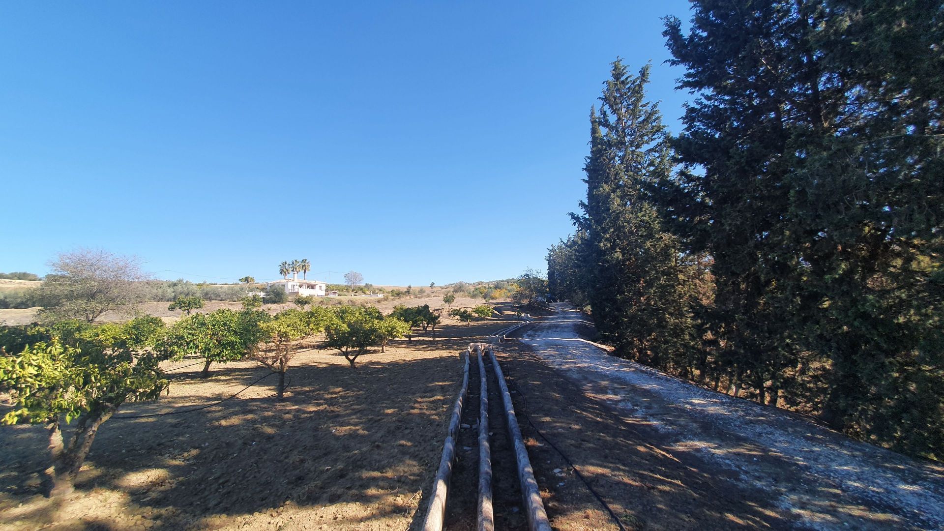 بيت في Alhaurín el Grande, Andalucía 12861596