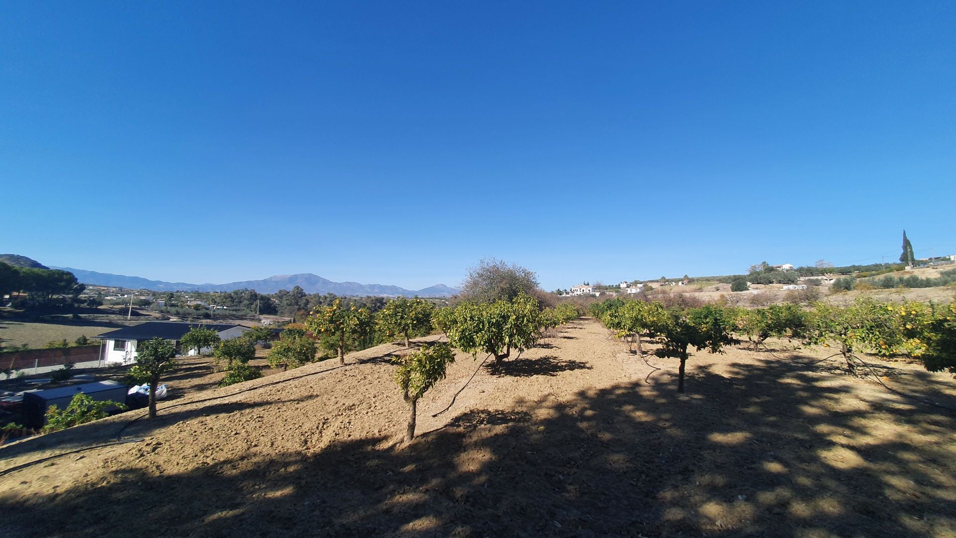 بيت في Alhaurín el Grande, Andalucía 12861596