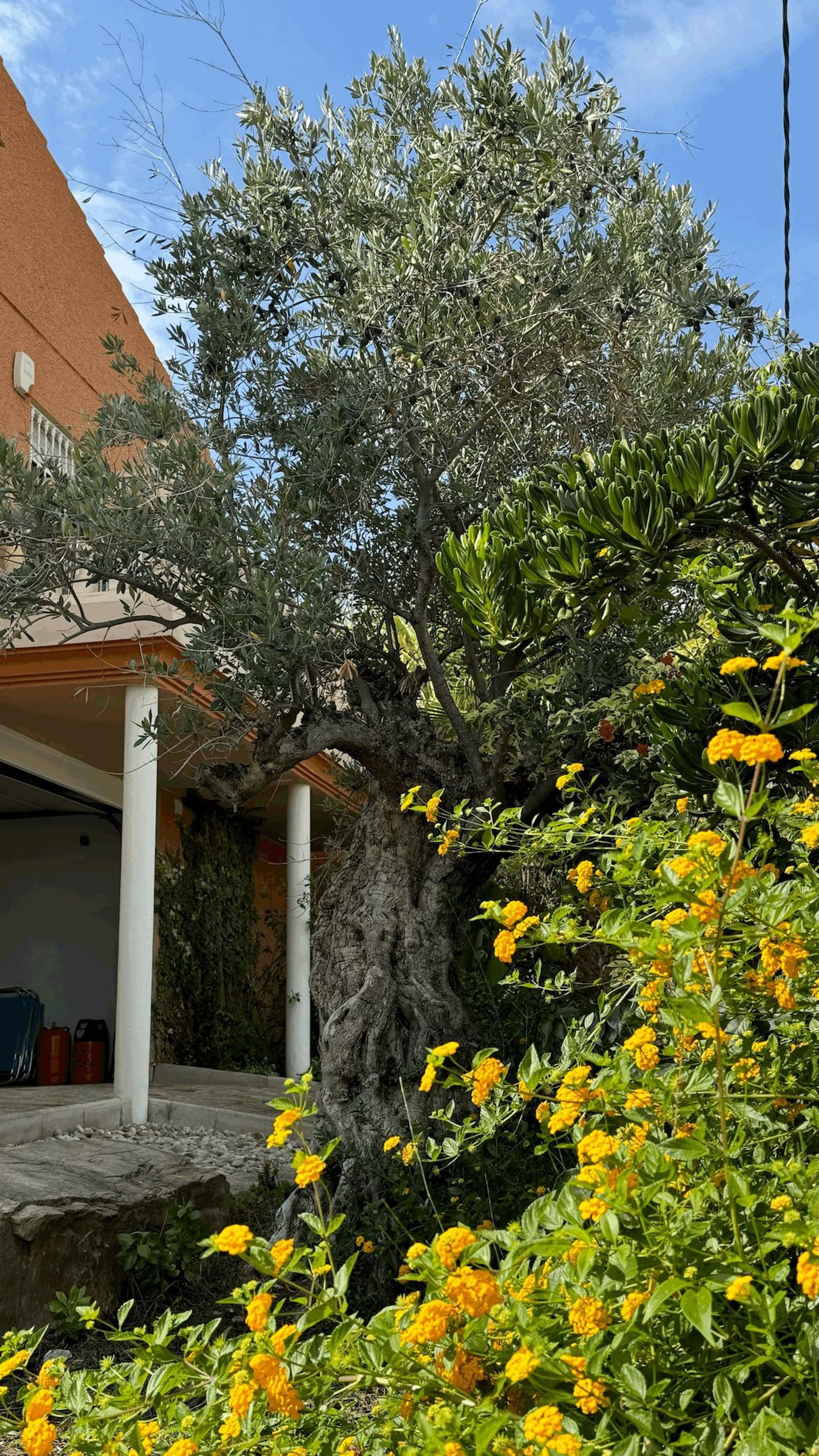 Hus i El Campello, Comunidad Valenciana 12861655