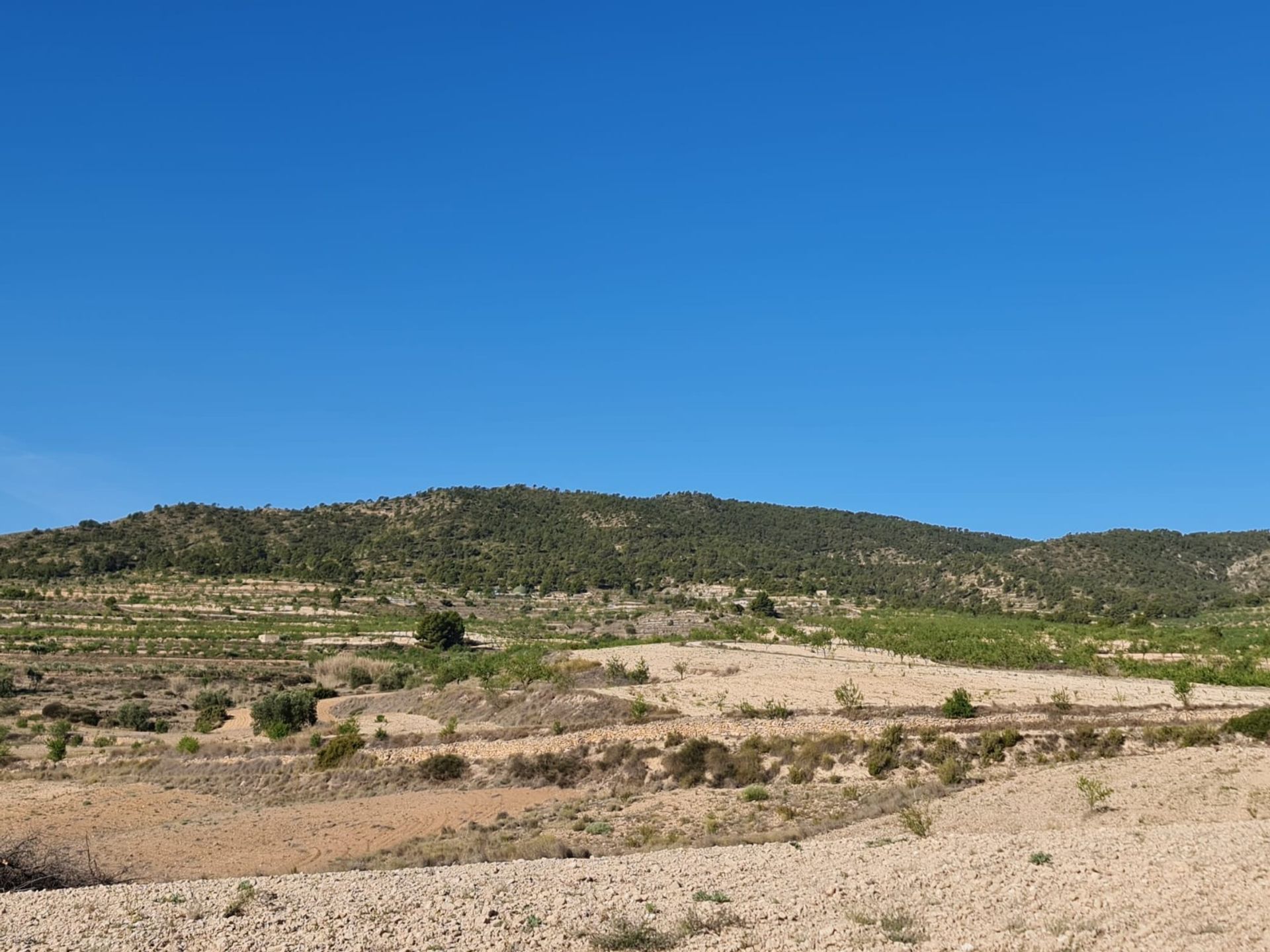 房子 在 Raspay, Región de Murcia 12861741