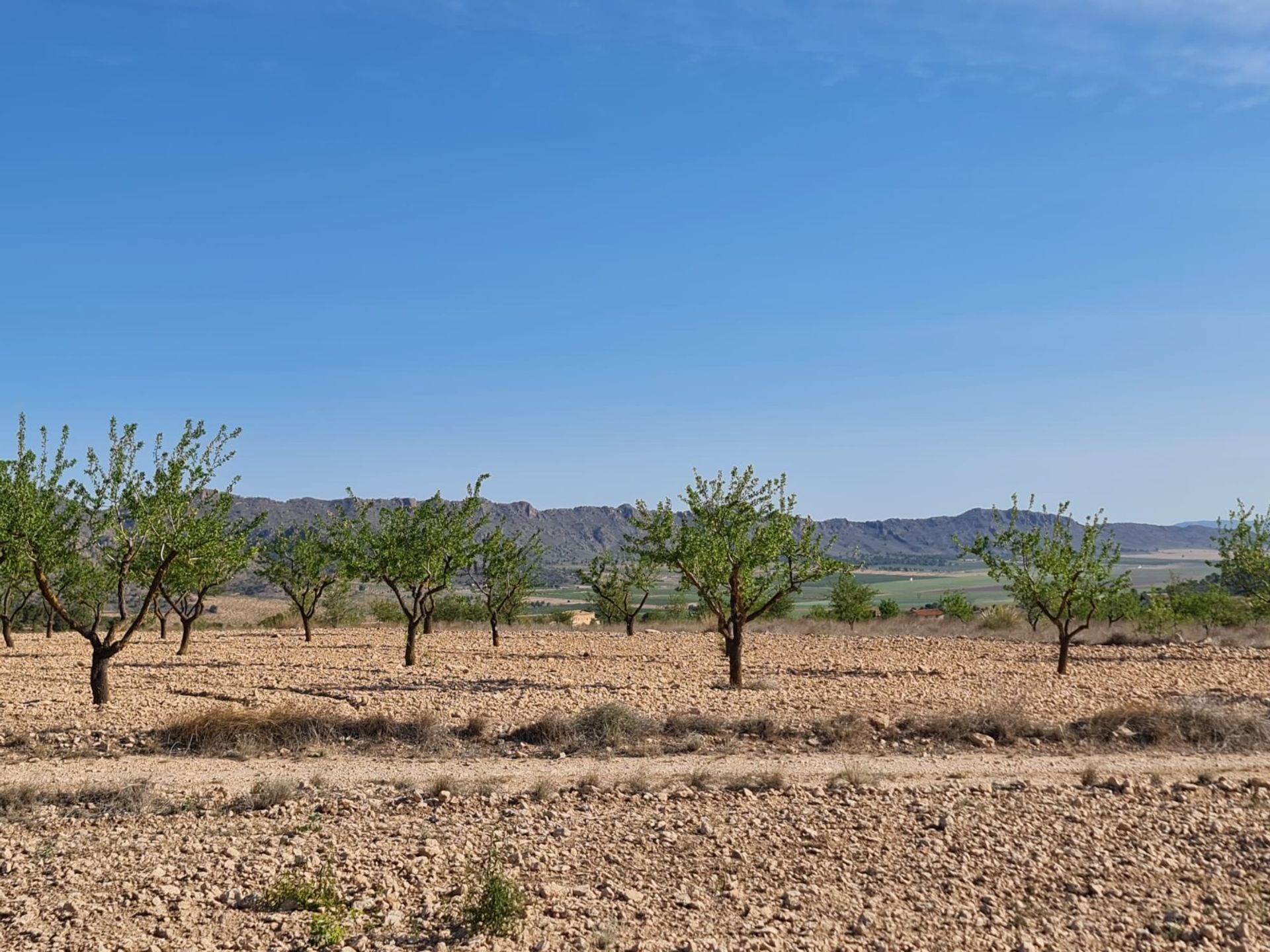 房子 在 Raspay, Región de Murcia 12861741