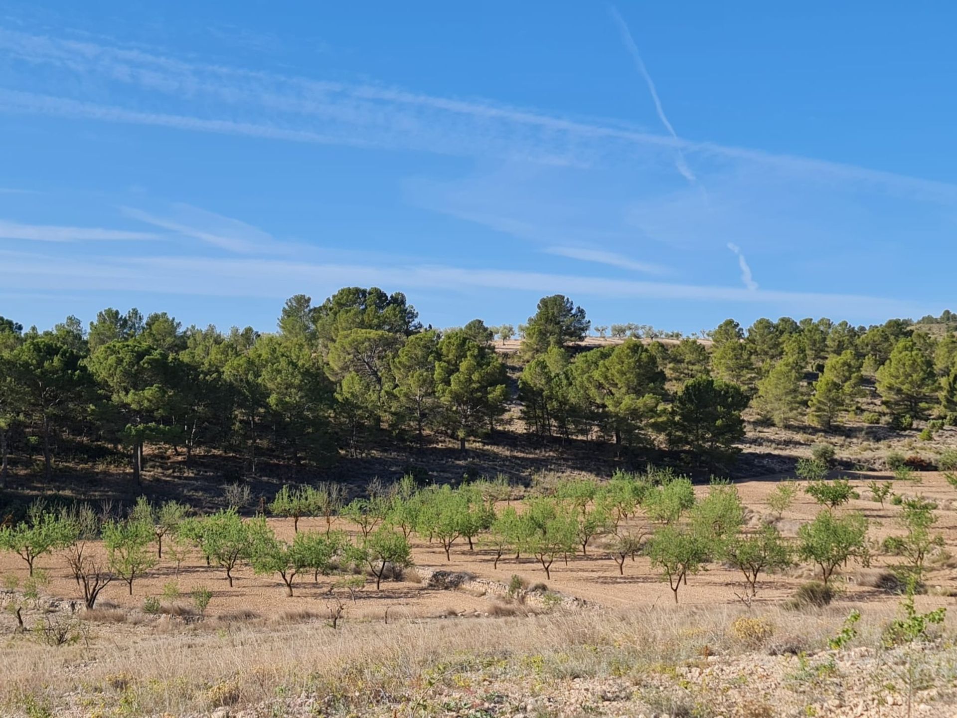 房子 在 Raspay, Región de Murcia 12861741