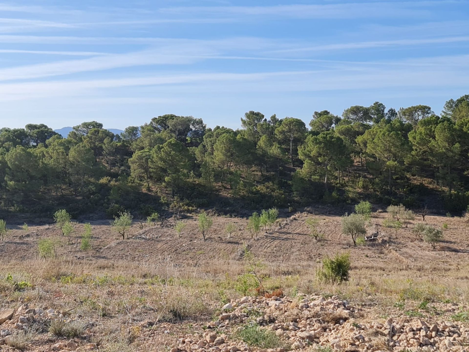 房子 在 Raspay, Región de Murcia 12861741