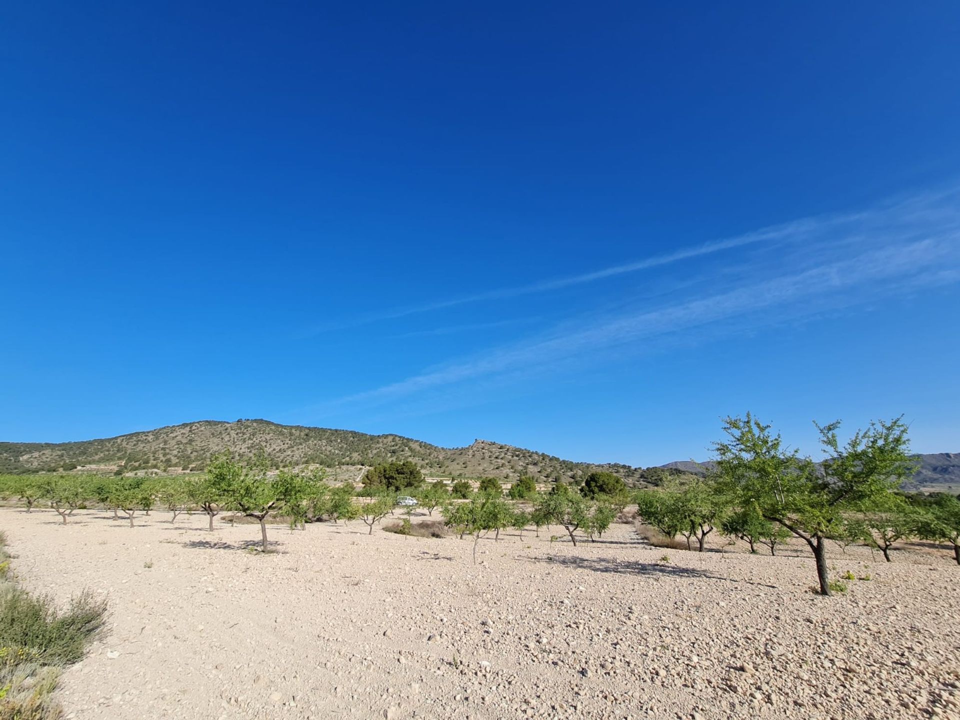 Hus i Raspay, Región de Murcia 12861743