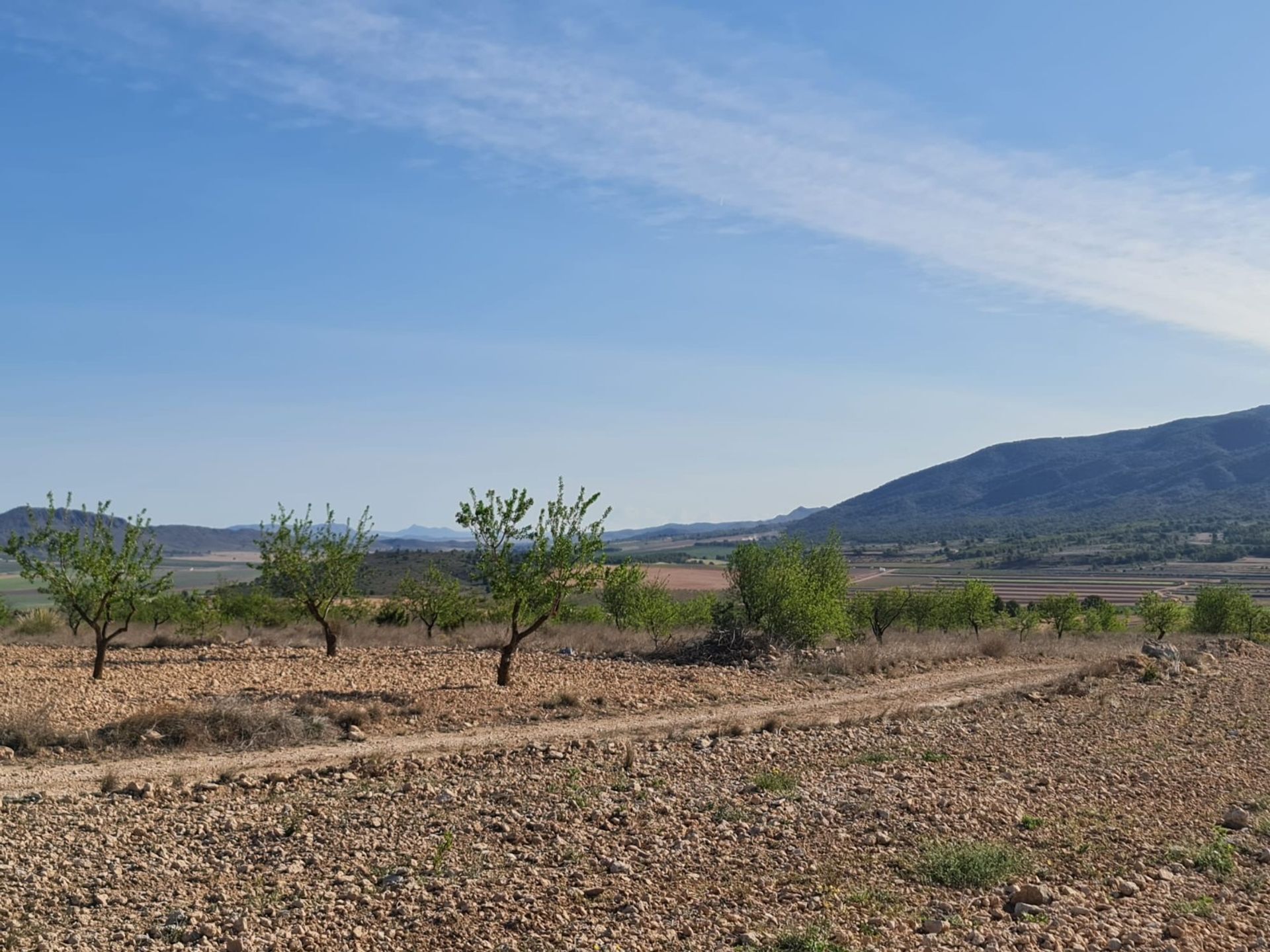 Hus i Raspay, Región de Murcia 12861743