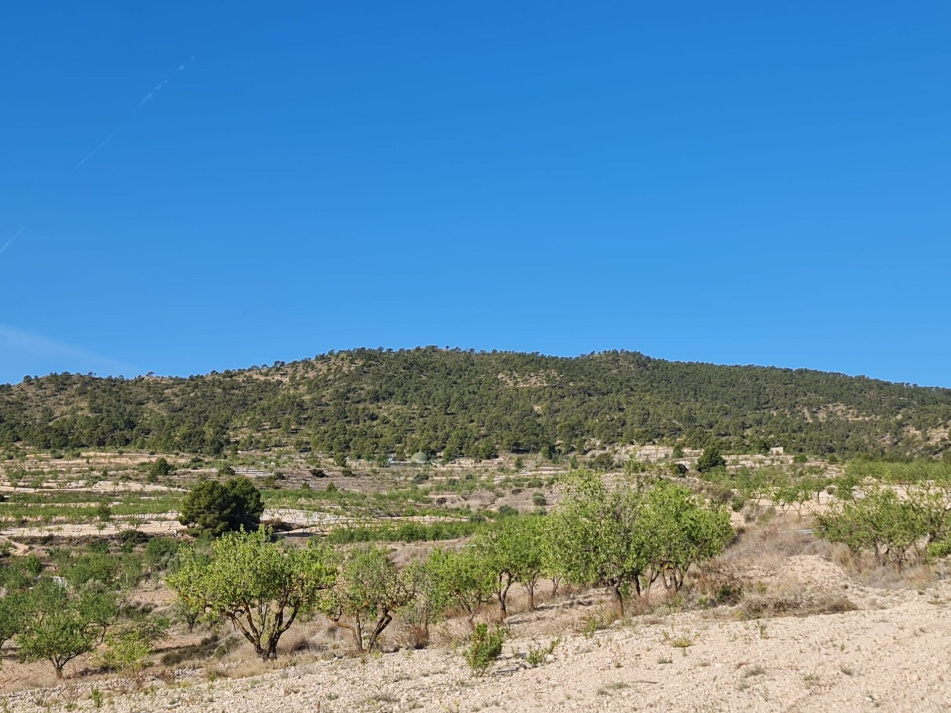 Hus i Raspay, Región de Murcia 12861743