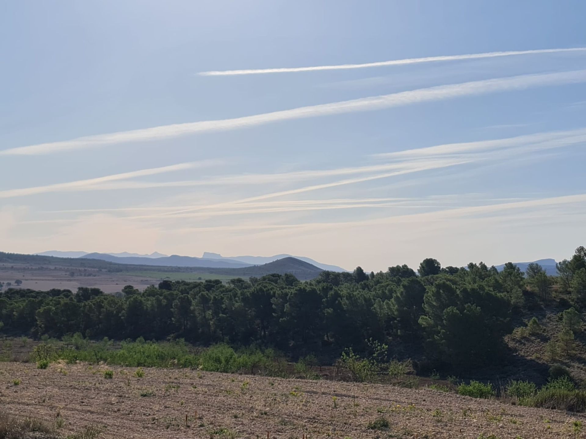 Hus i Raspay, Región de Murcia 12861743