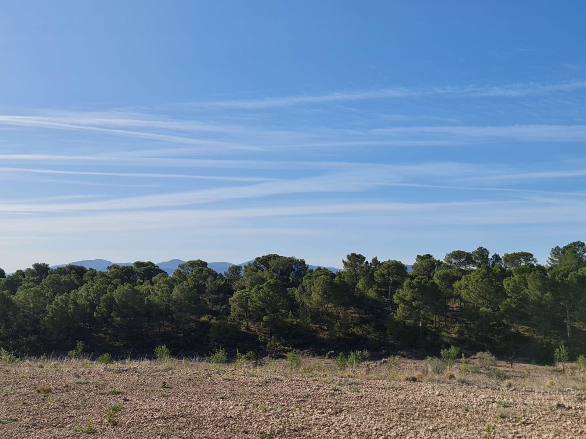 Hus i Raspay, Región de Murcia 12861743