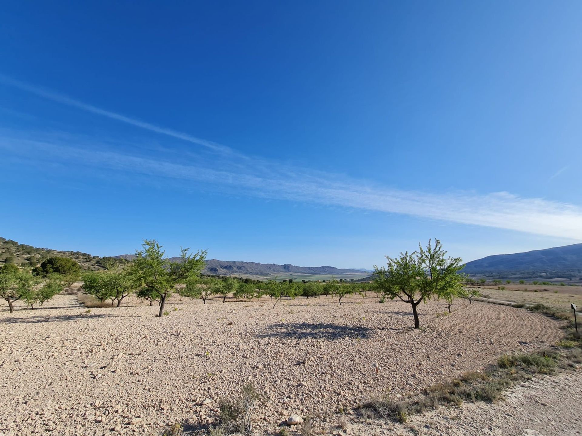 Hus i Raspay, Región de Murcia 12861743