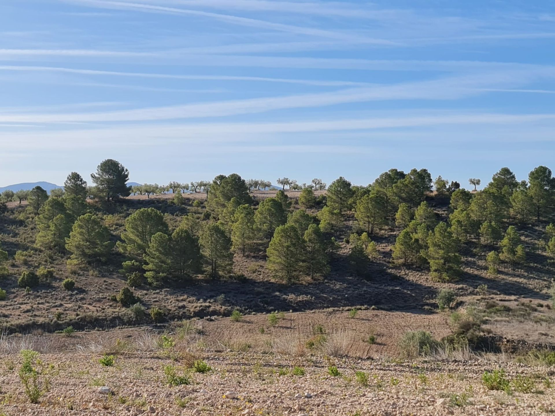 Hus i Raspay, Región de Murcia 12861743