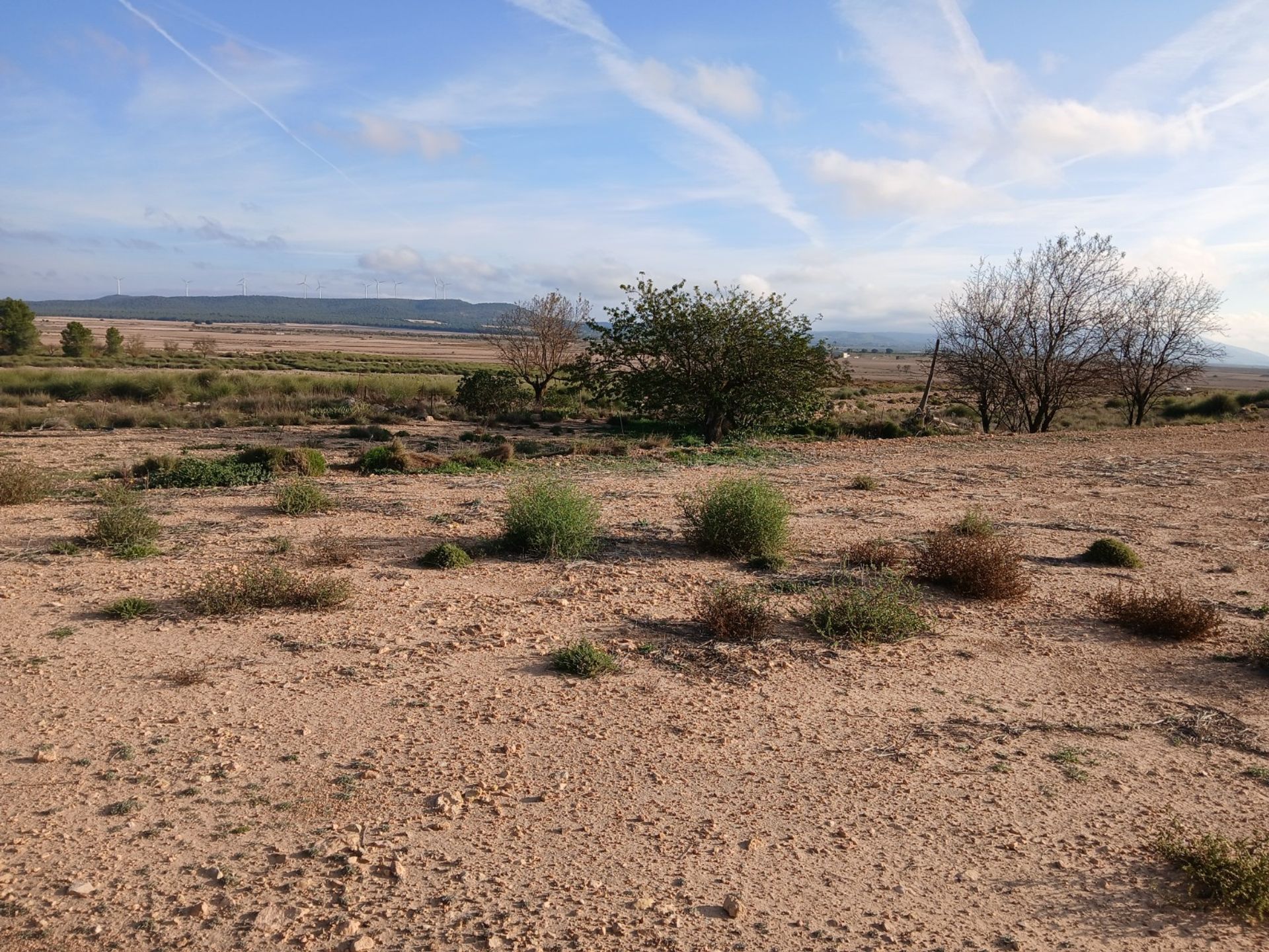 casa en Yecla, Región de Murcia 12861826