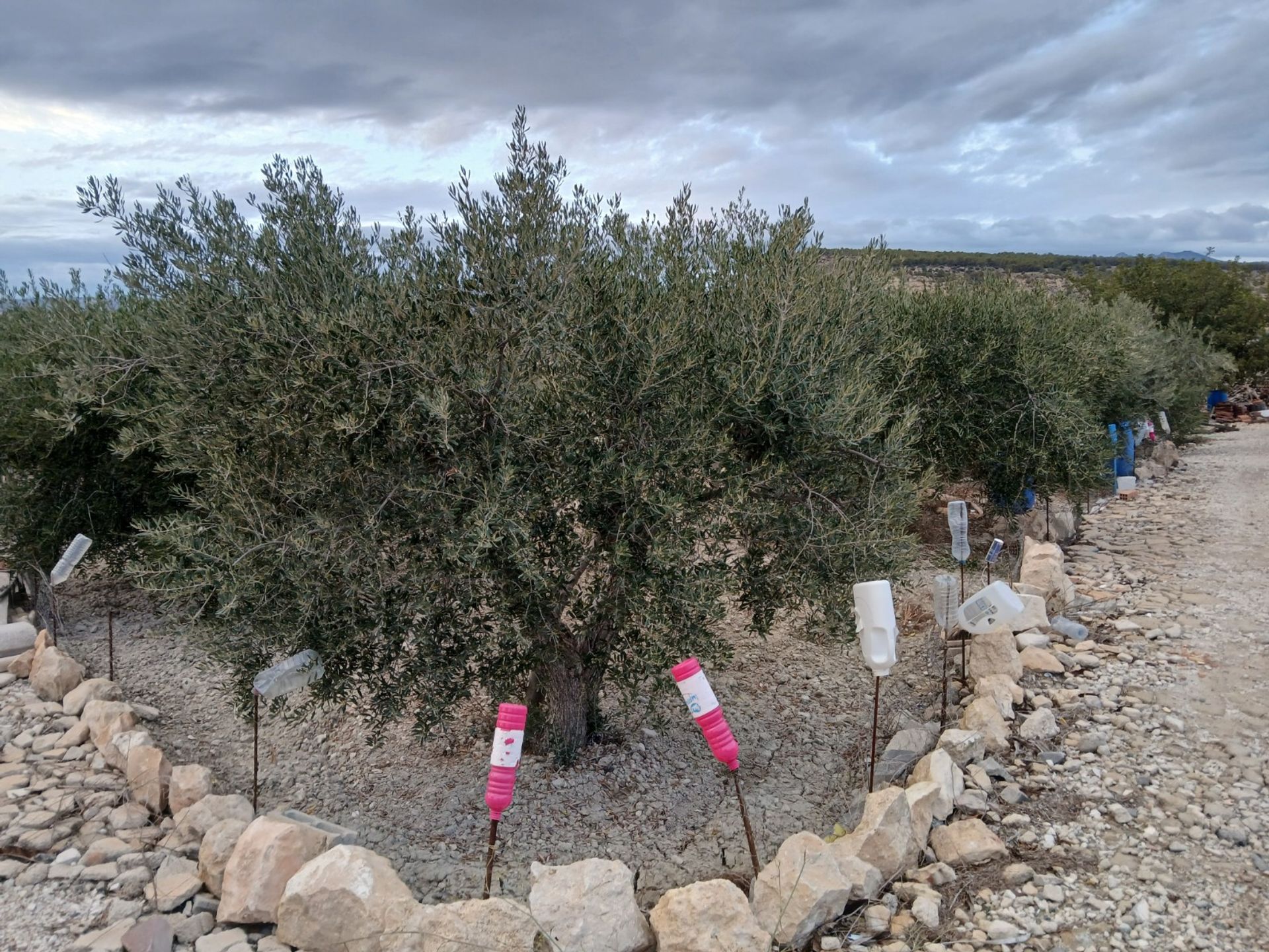 بيت في Albudeite, Región de Murcia 12861861