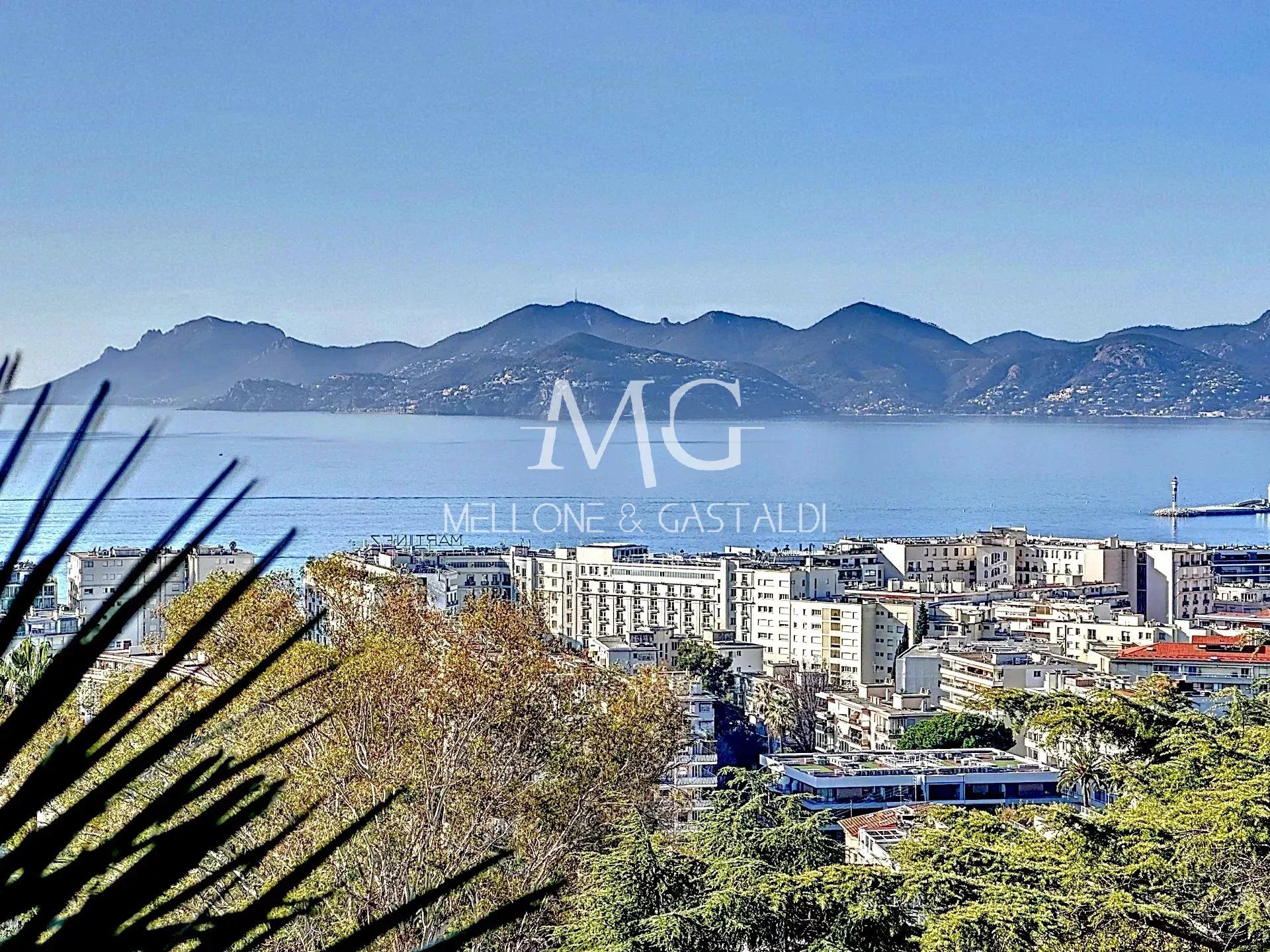 Condominio nel Cannes, Alpes-Maritimes 12862374