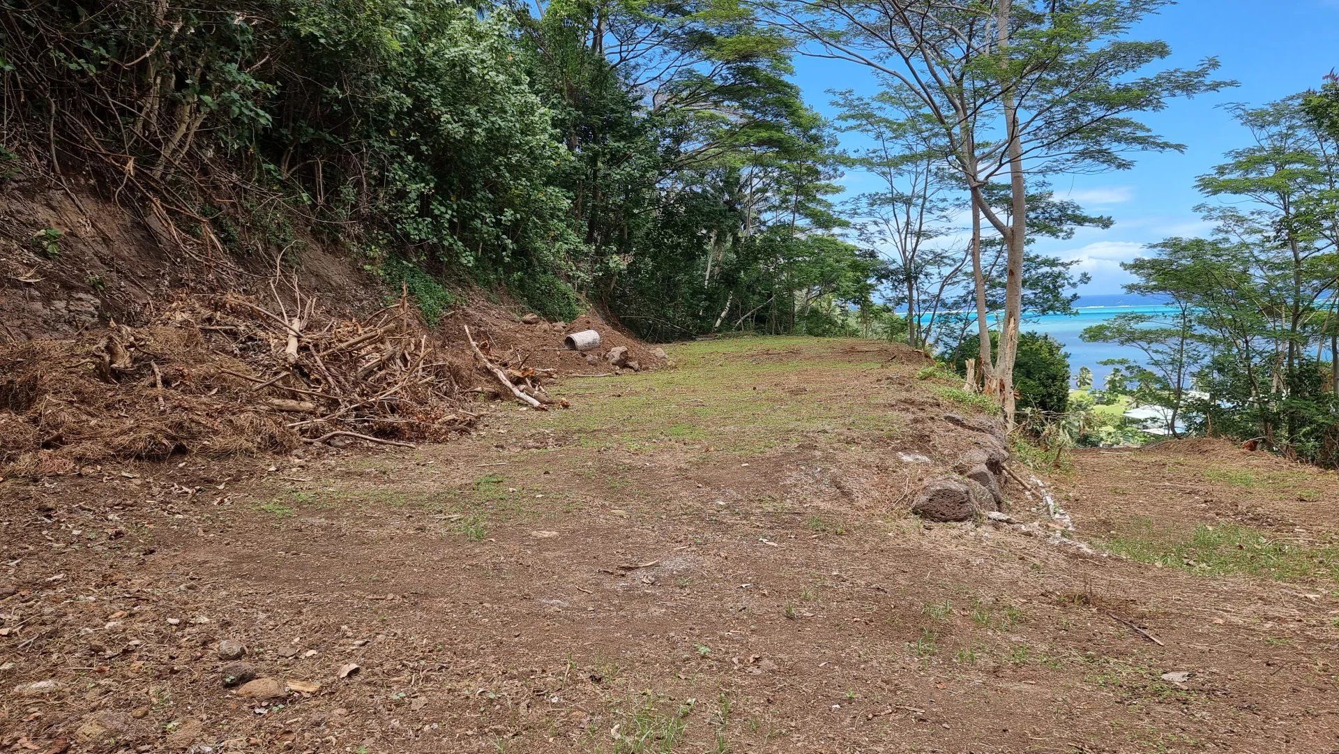 Jord i Papeete, Îles du Vent 12862382